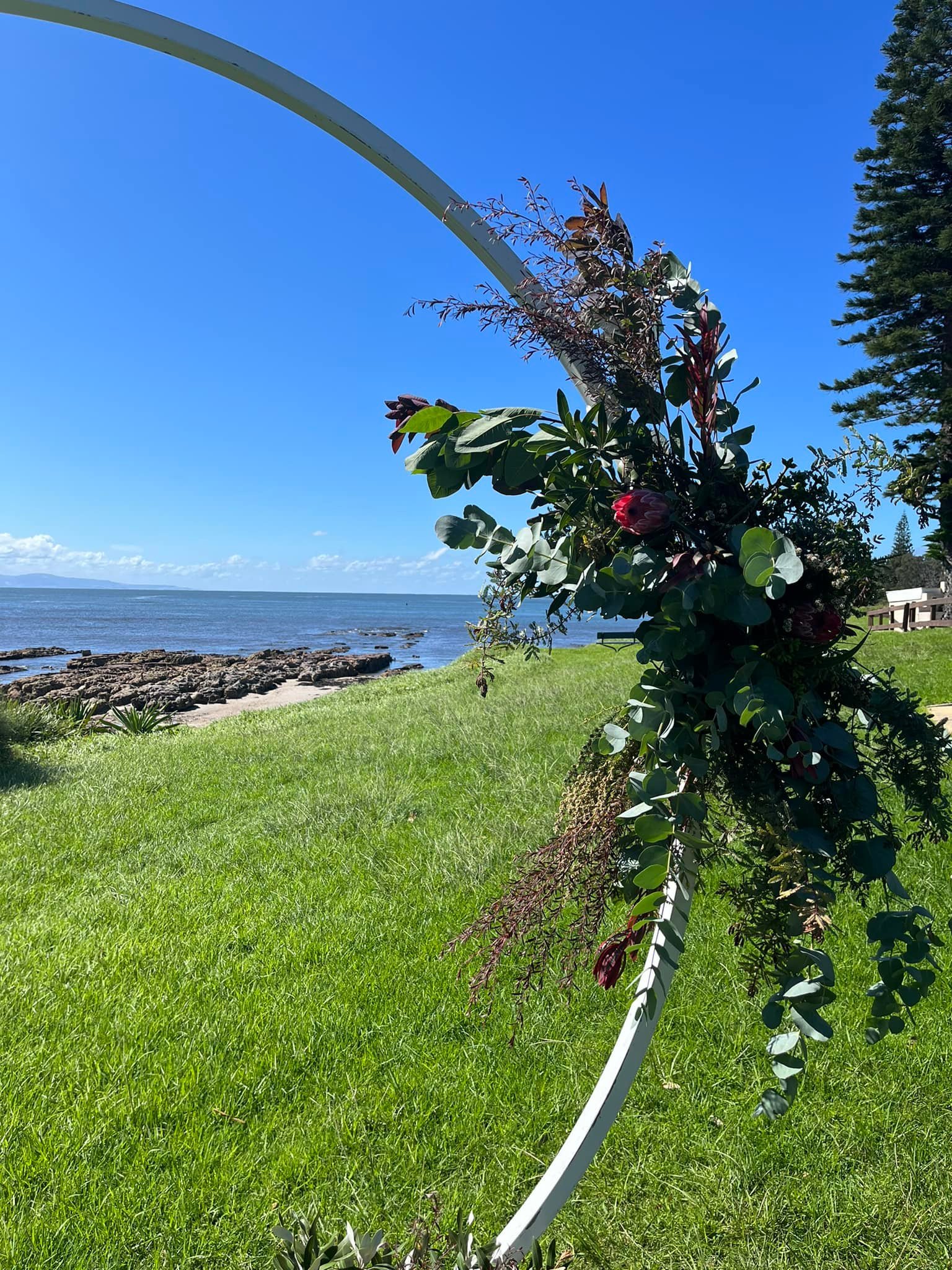 Currarong headland