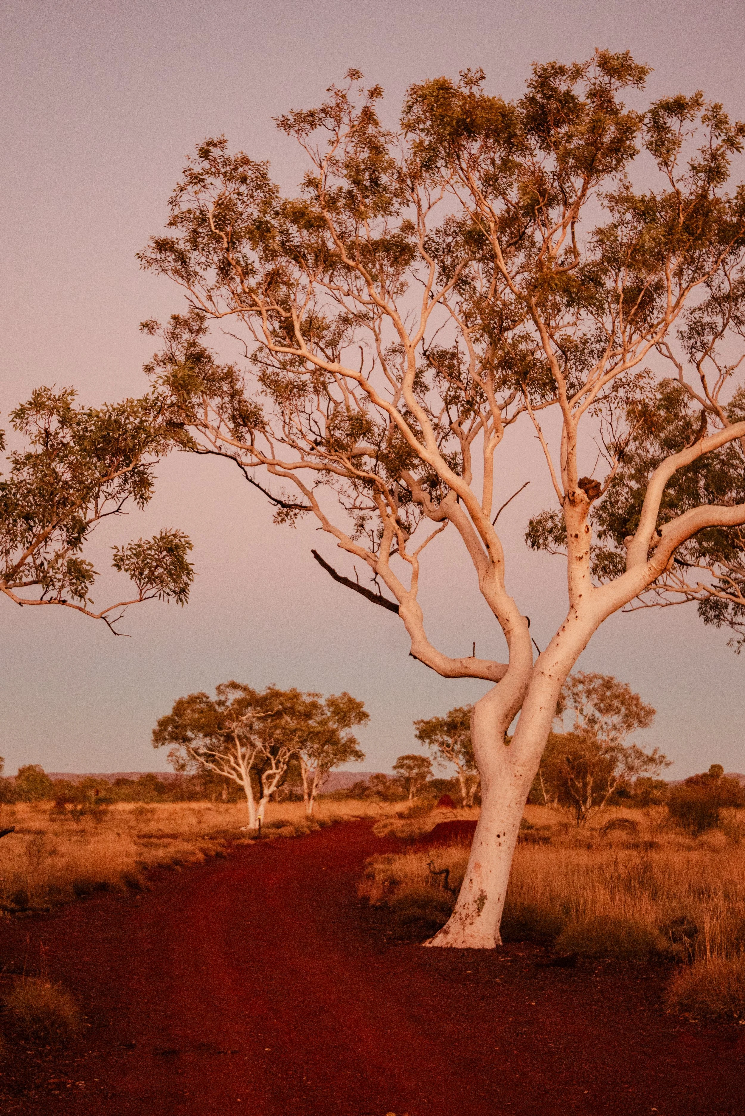 pilbara-web-res-portfolio-233.jpg