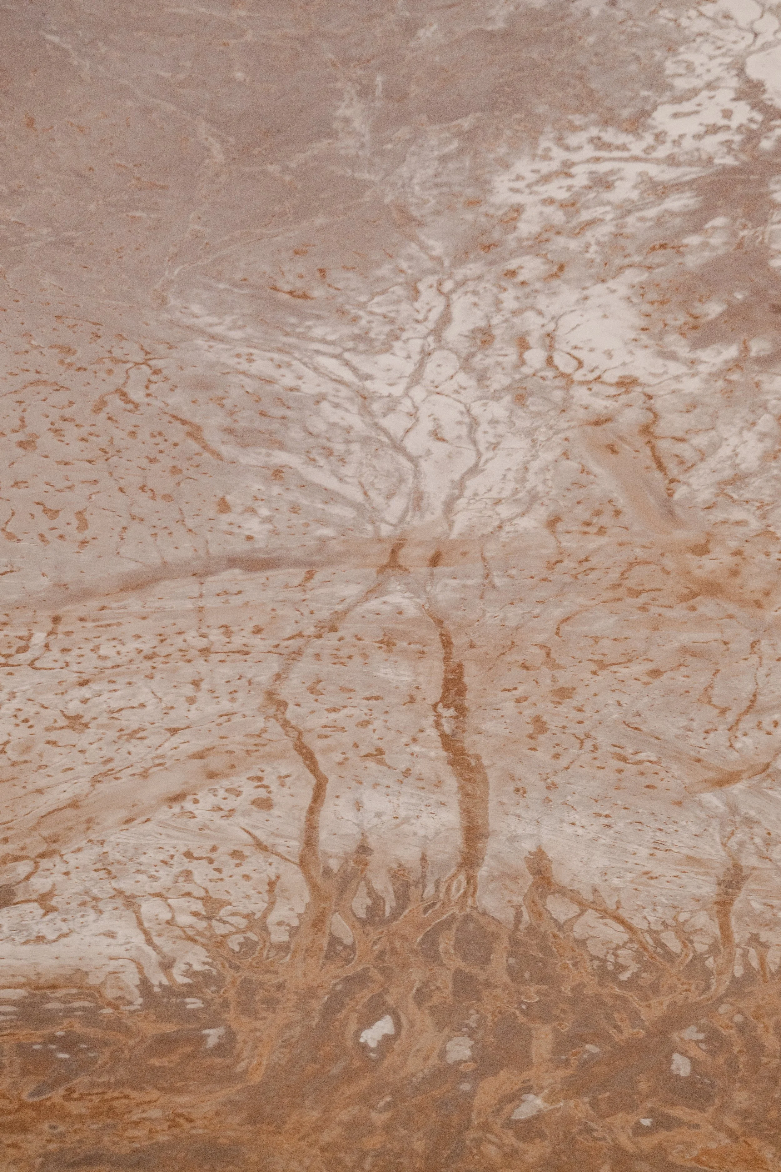 jessica-howard-lake-eyre-first-export-6.jpg