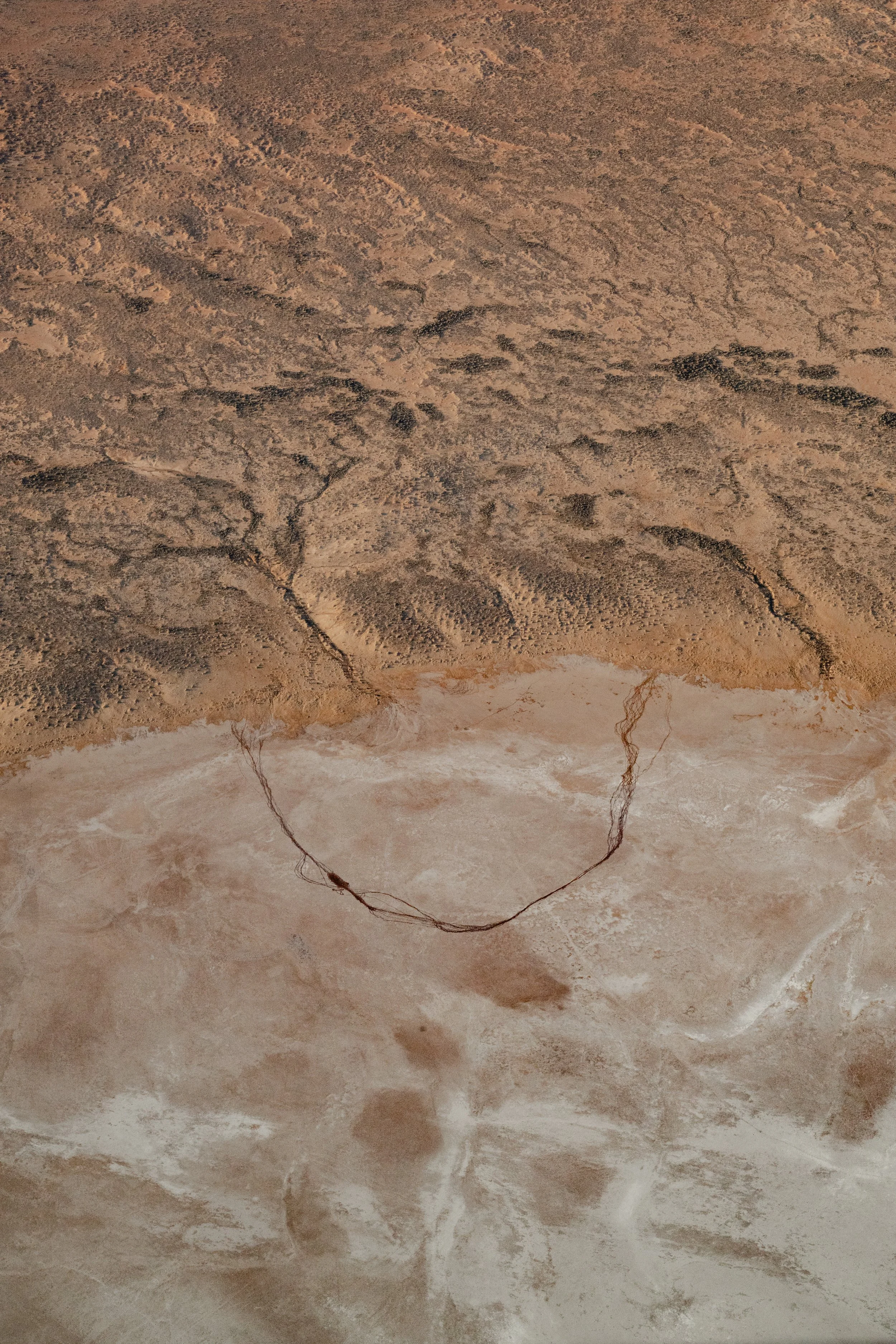 jessica-howard-lake-eyre-first-export-2.jpg