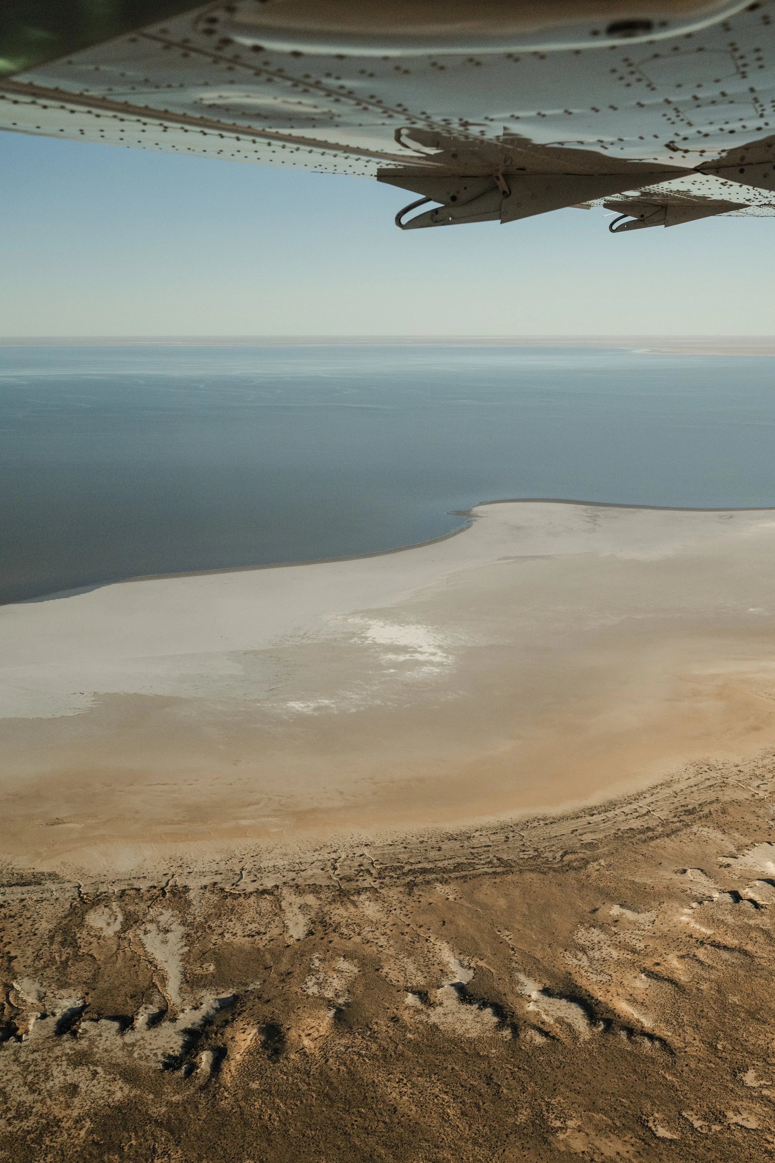 jessica-howard-lake-eyre-first-export-1-2.jpg