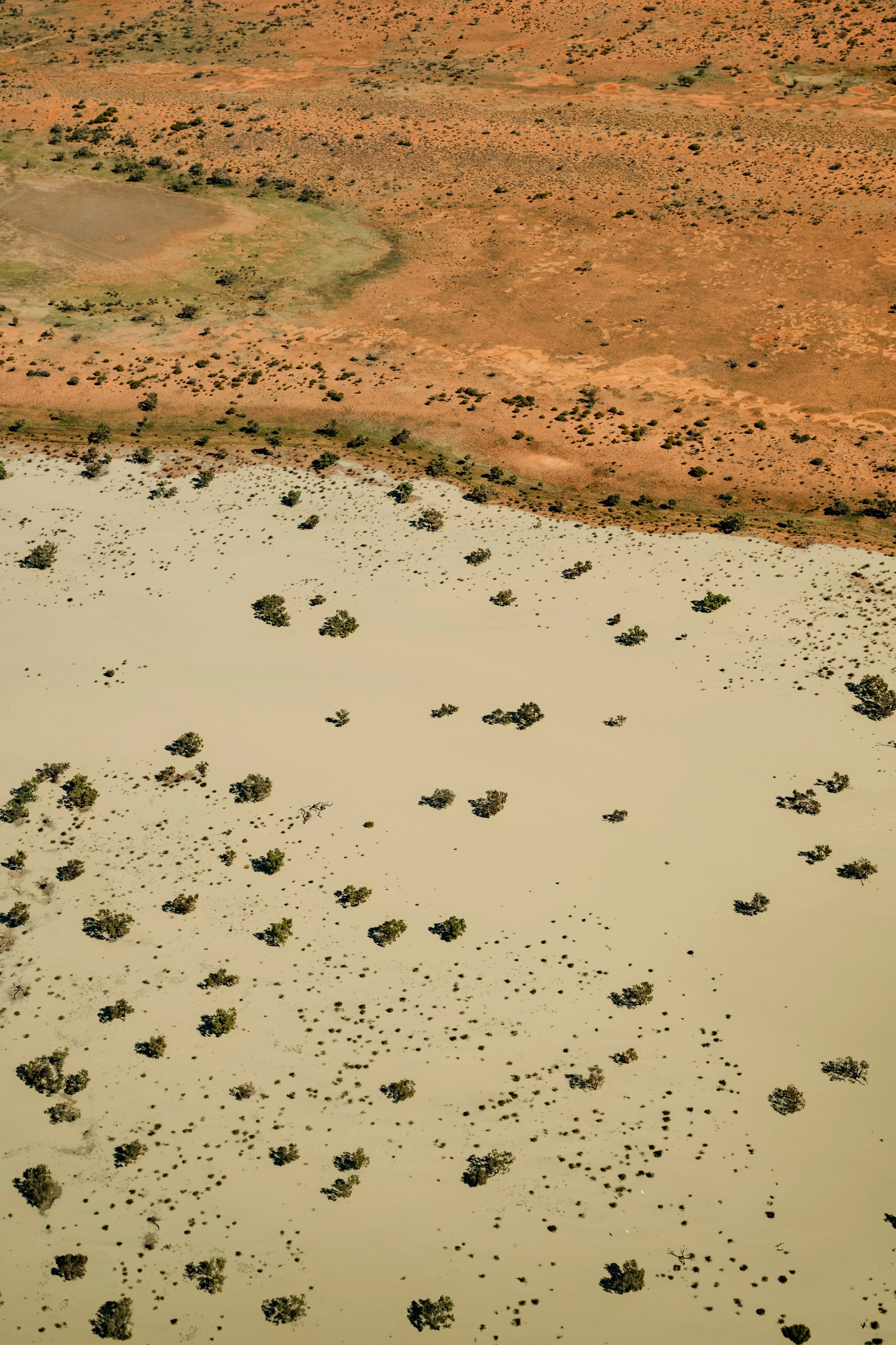jessica-howard-lake-eyre-first-export-13.jpg