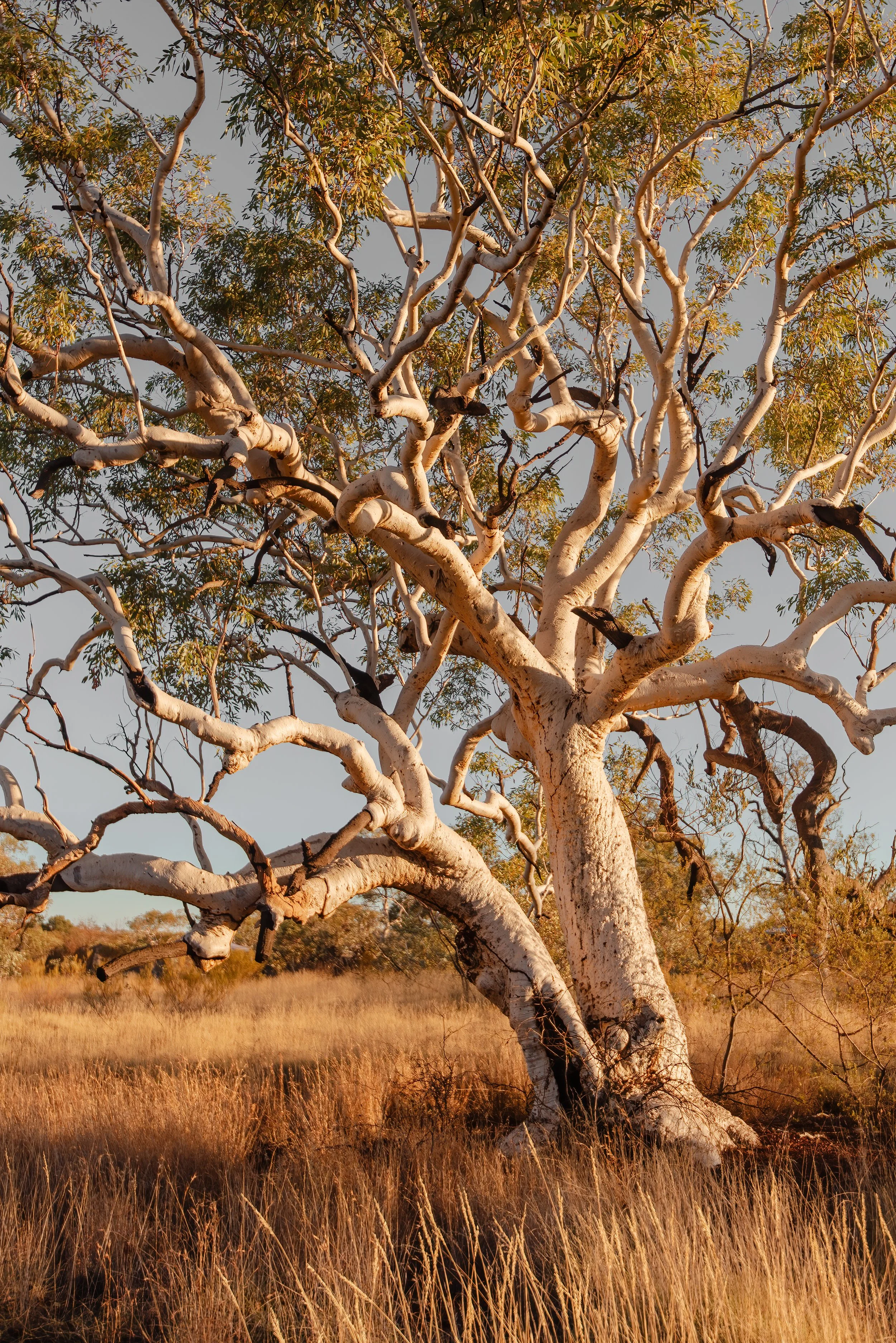 pilbara-web-res-portfolio-6.jpg