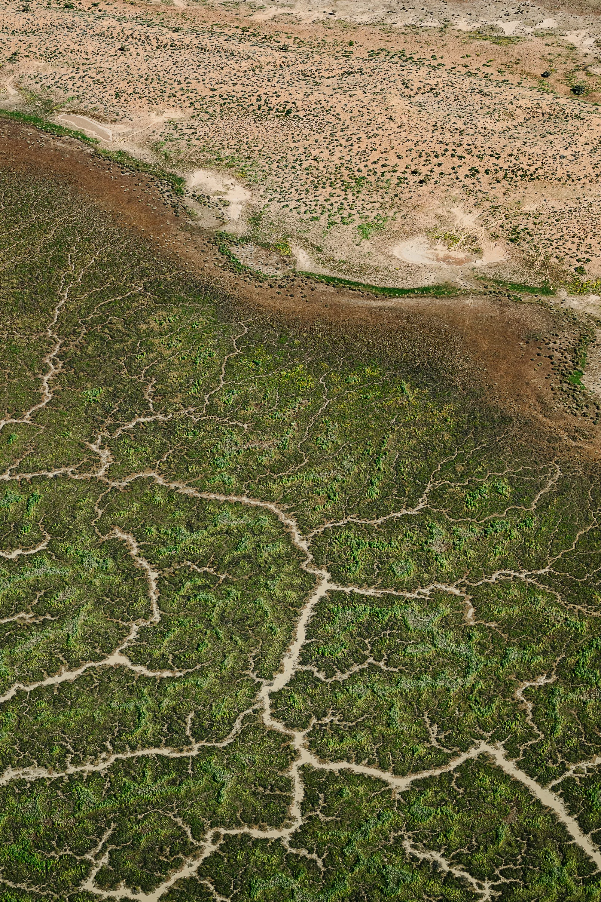 lake-eyre-website-low res-1-6.jpg