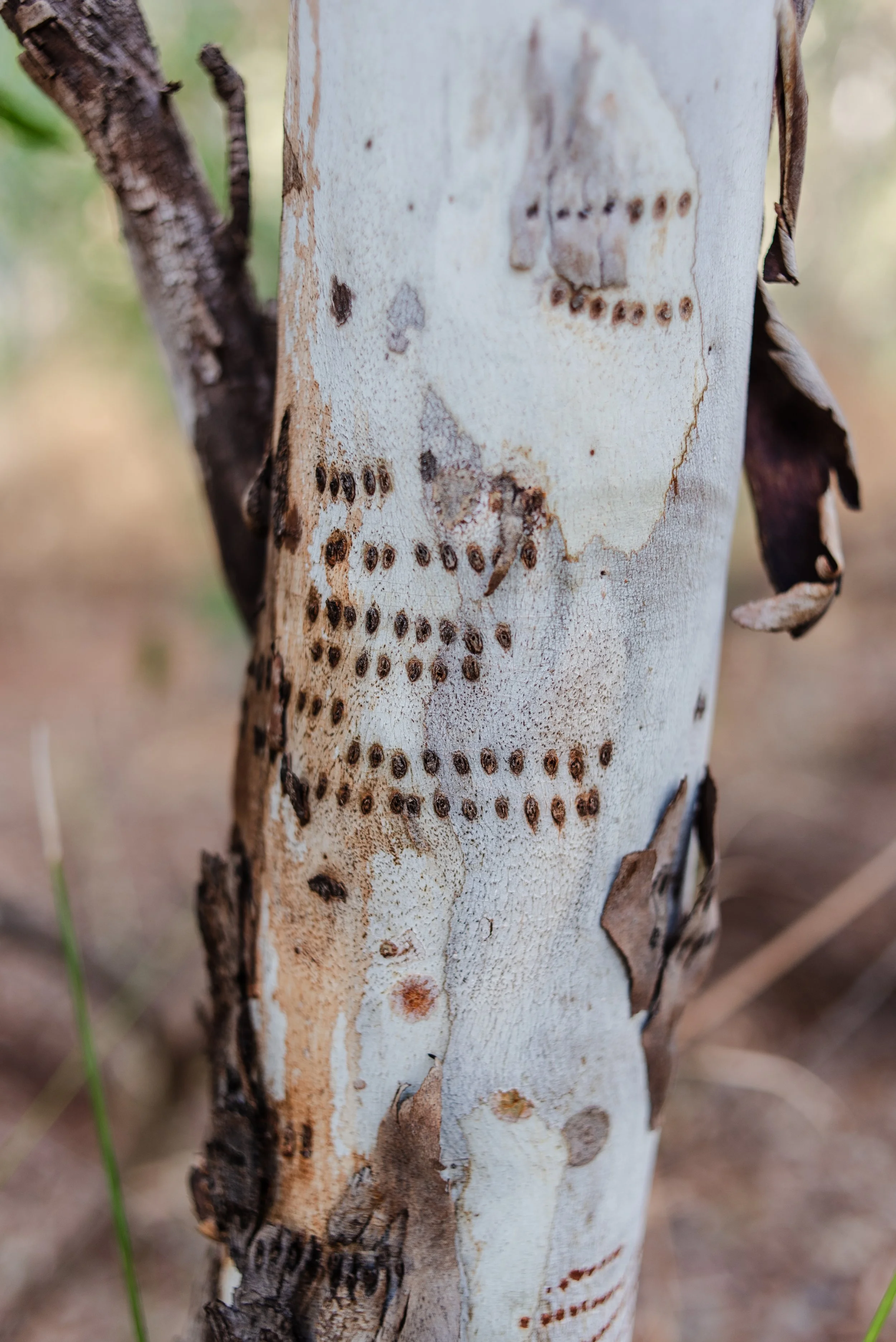 pilbara-web-res-portfolio-1-18.jpg