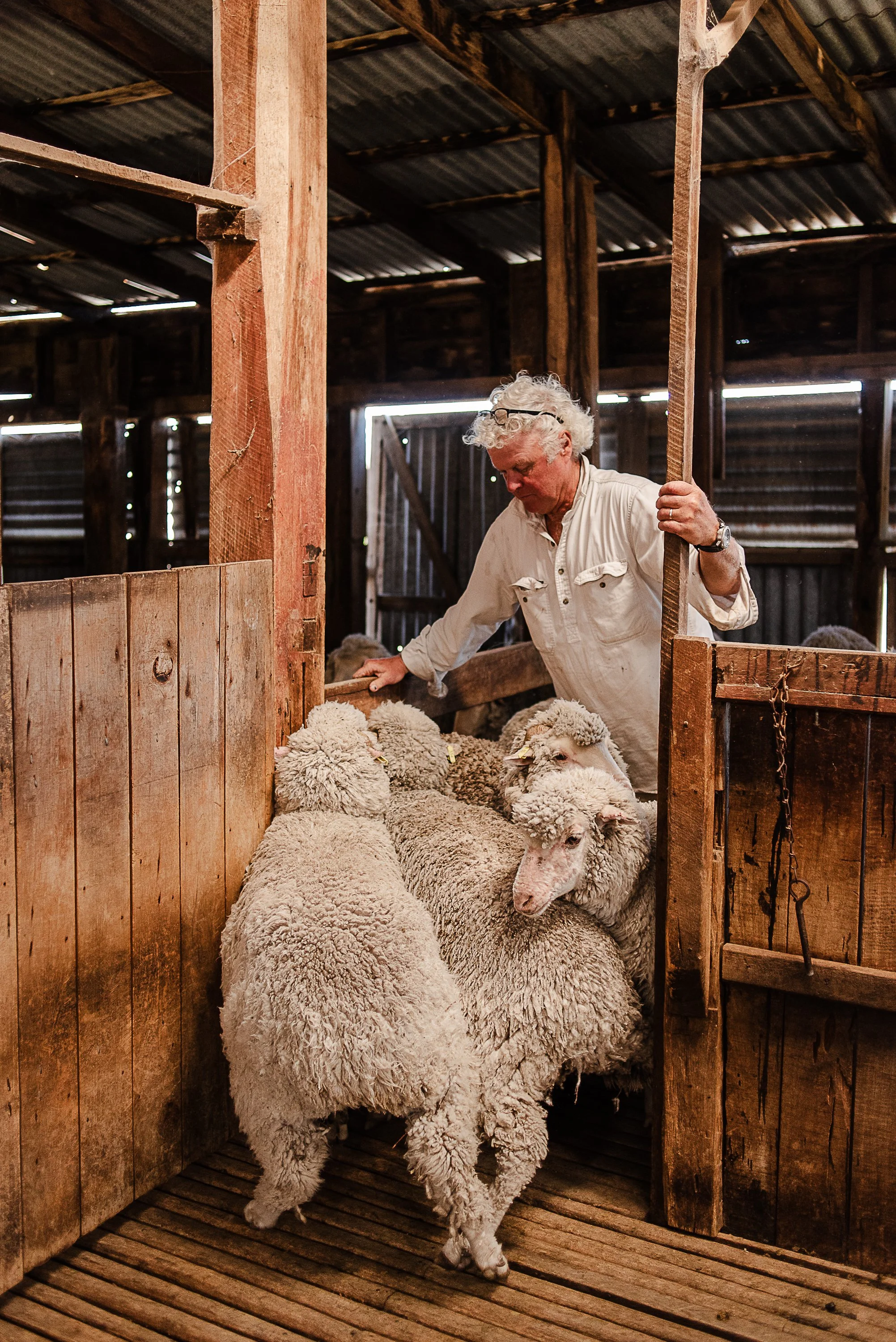 balala-shearing-shed-1-10.jpg
