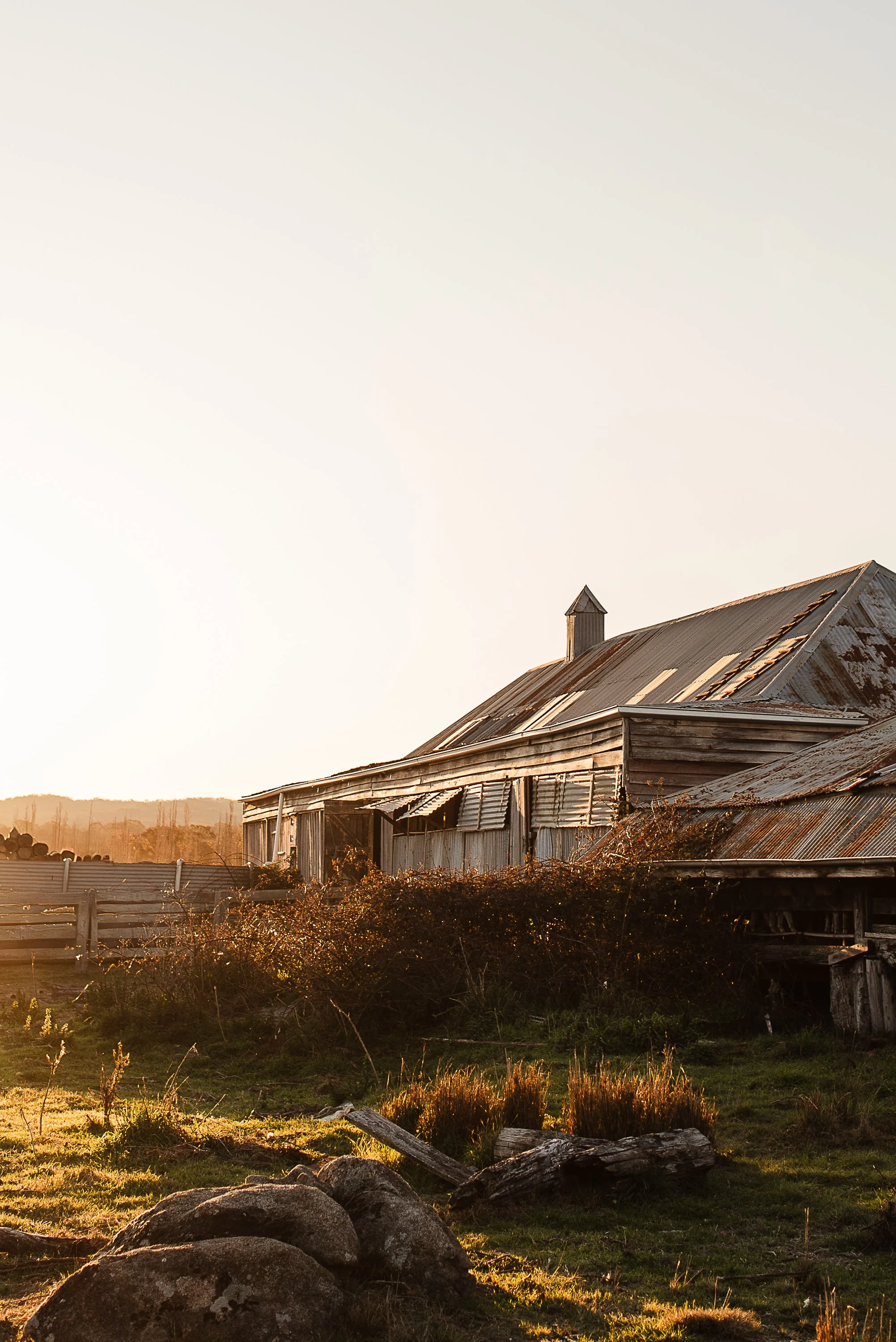 balala-shearing-shed-1.jpg