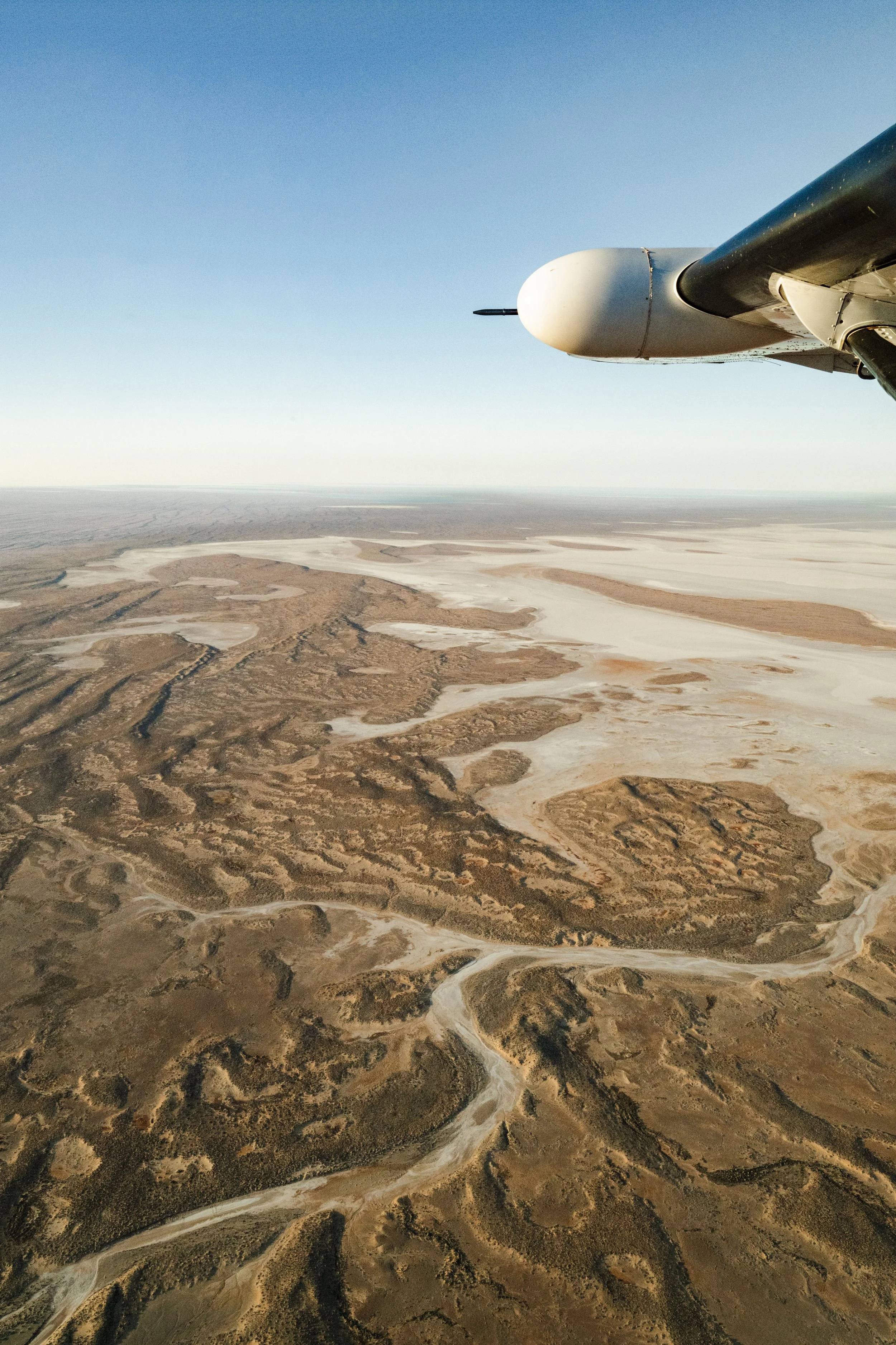 jessica-howard-lake-eyre-first-export-3-2.jpg