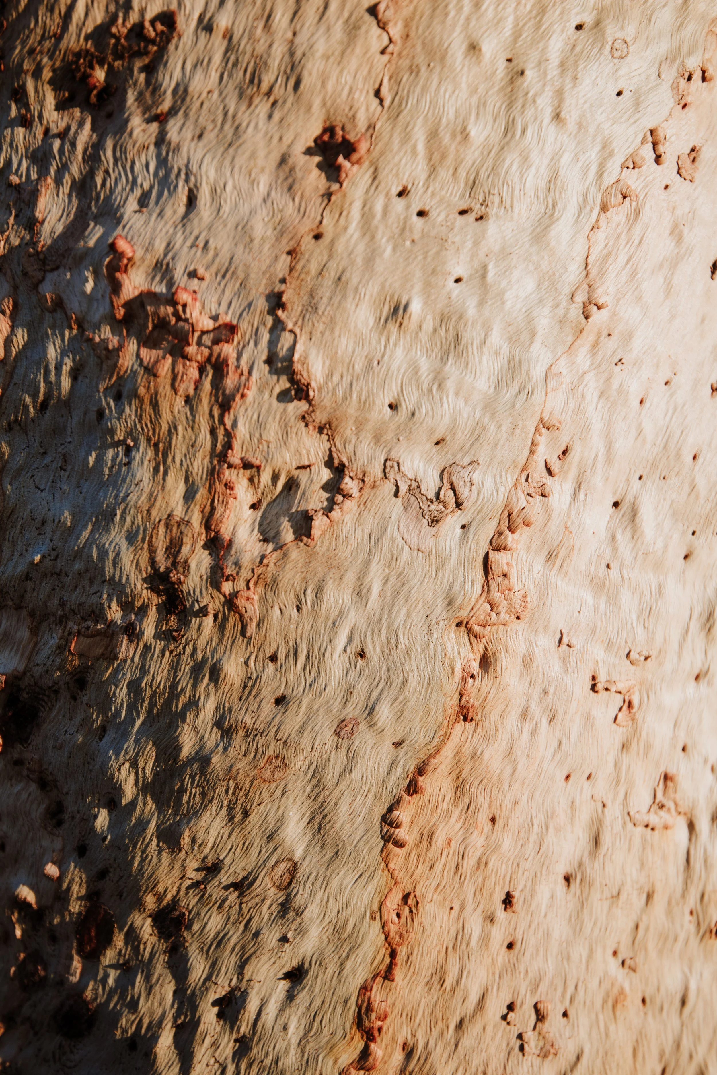 pilbara-web-res-portfolio-1-10.jpg