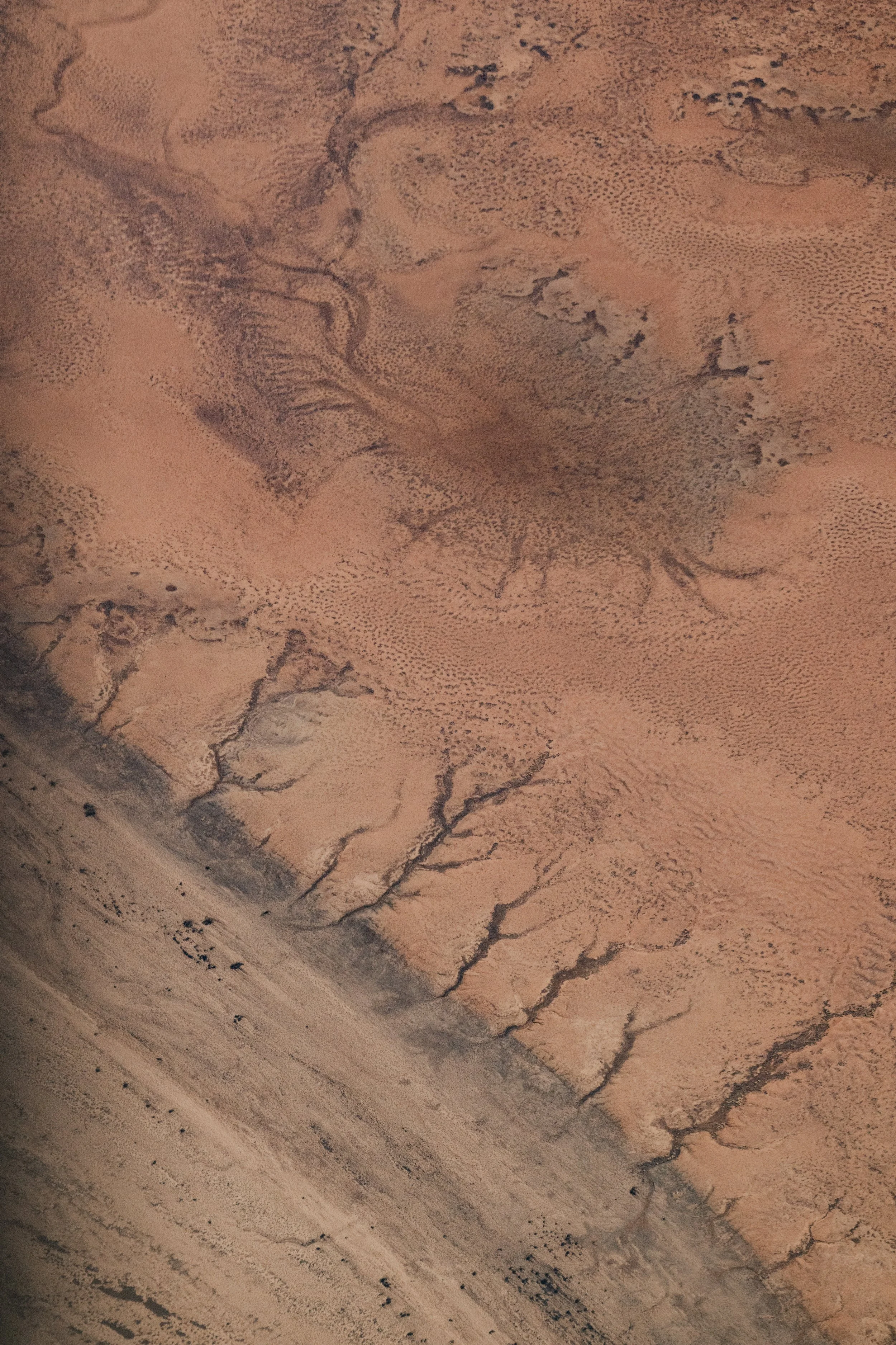 jessica-howard-lake-eyre-first-export-26.jpg