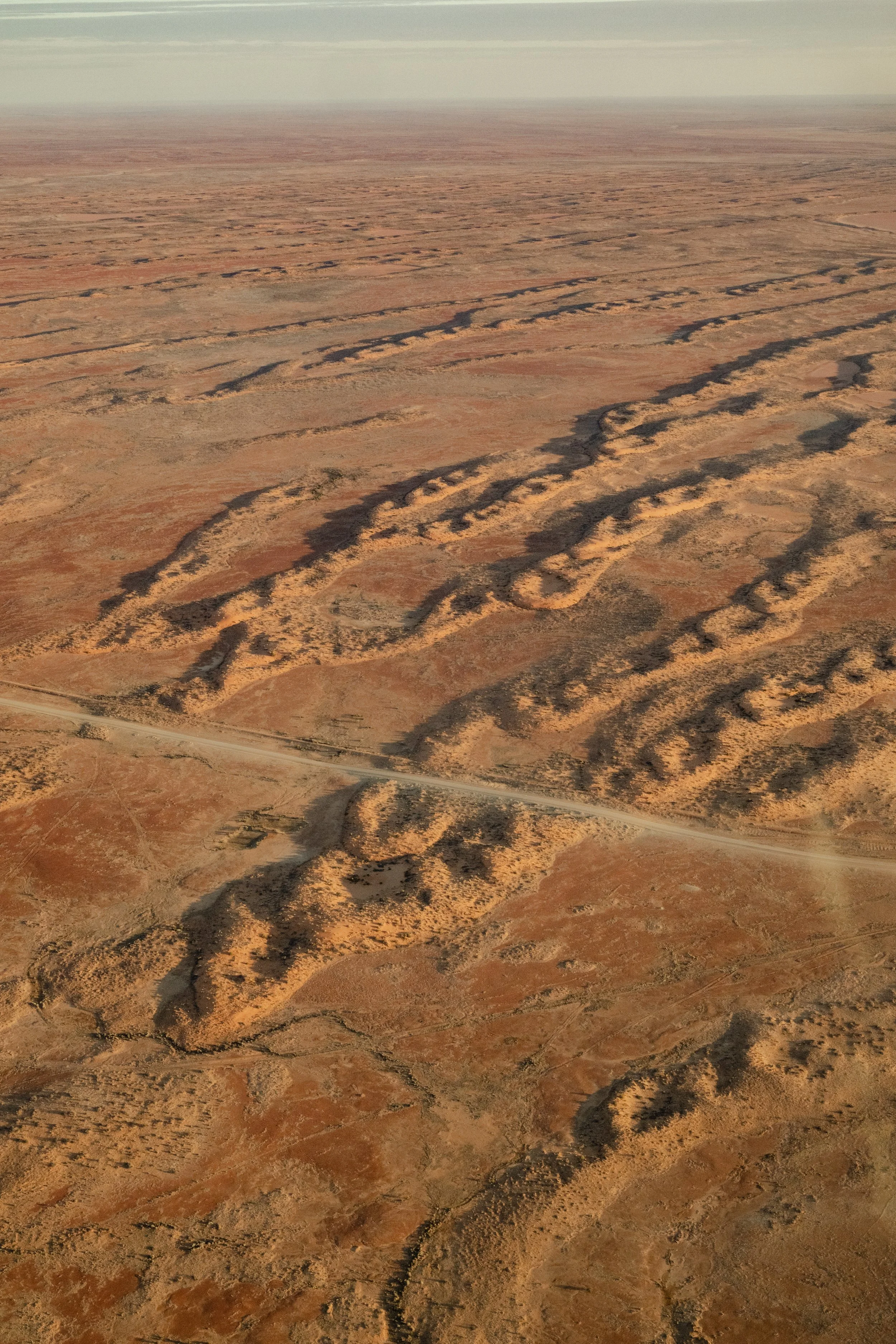 jessica-howard-lake-eyre-first-export-11.jpg