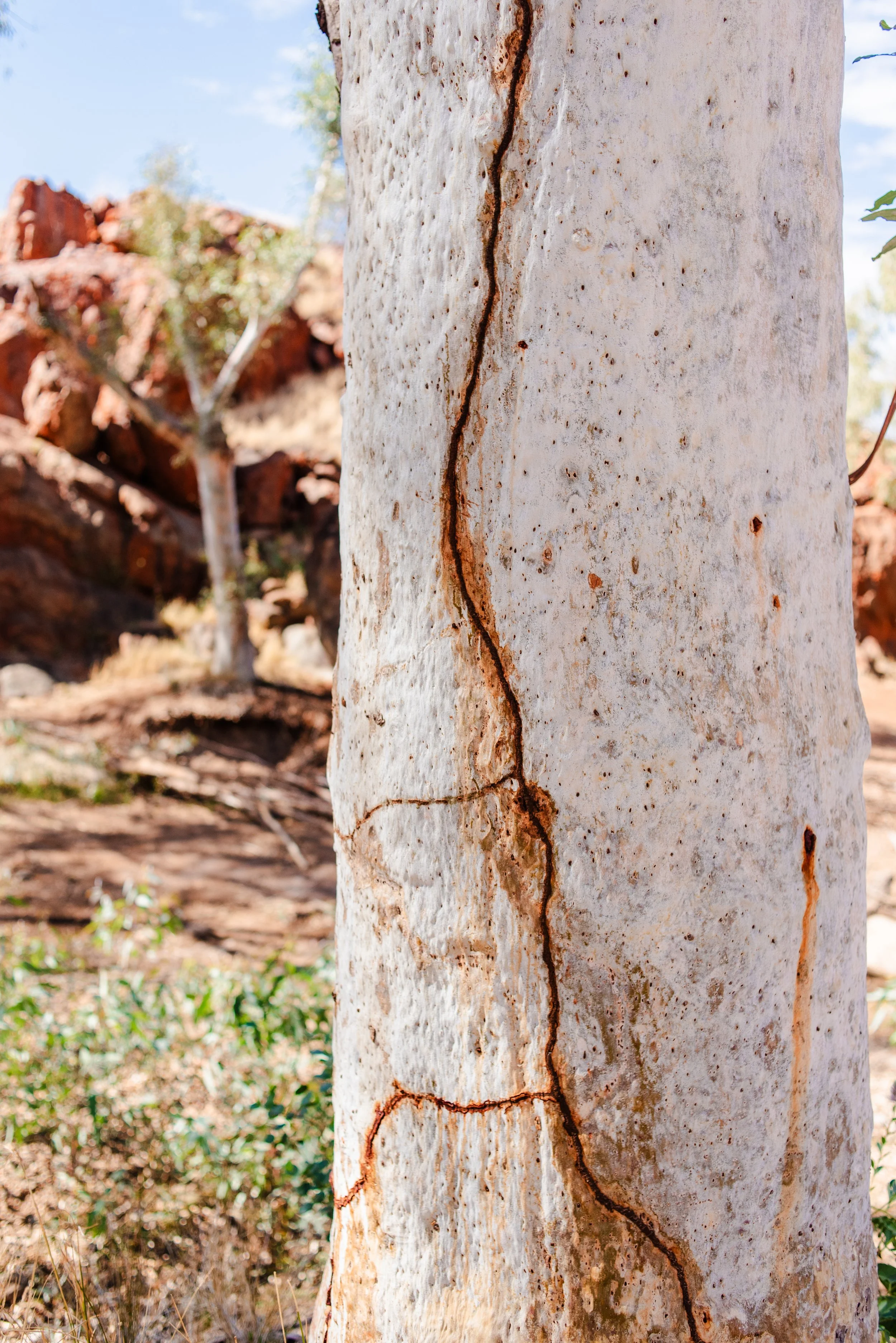 pilbara-web-res-portfolio-124.jpg