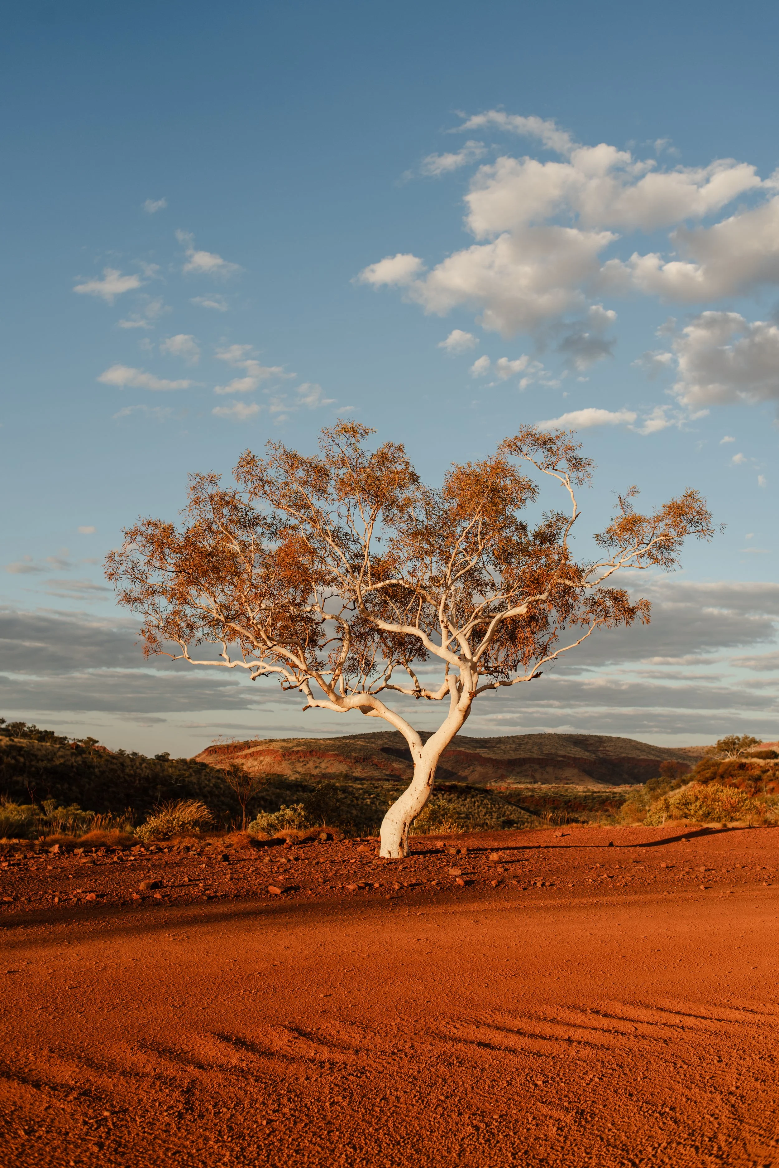 pilbara-web-res-portfolio-1-4.jpg