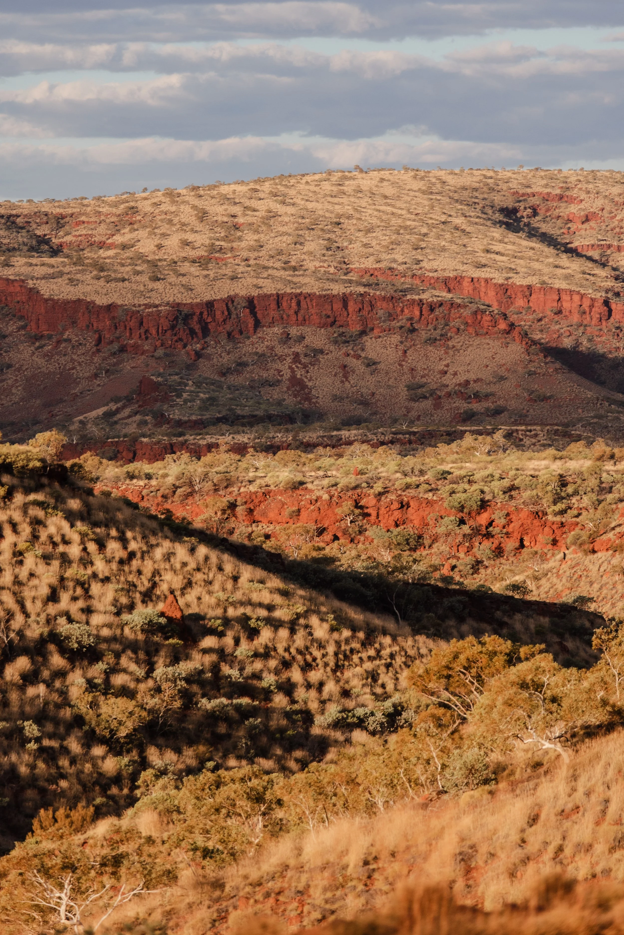 pilbara-web-res-portfolio-1-5.jpg