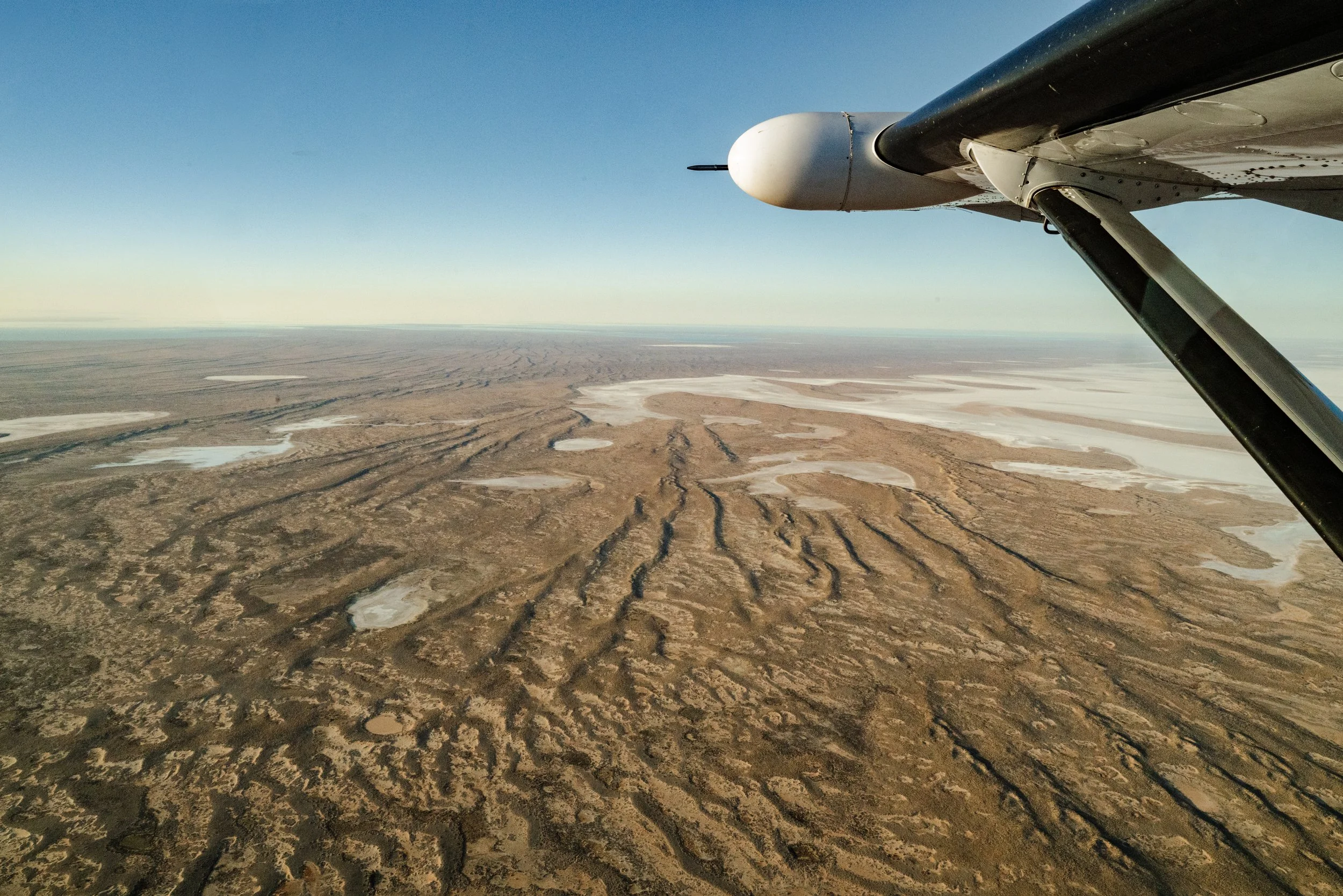 jessica-howard-lake-eyre-first-export-31.jpg