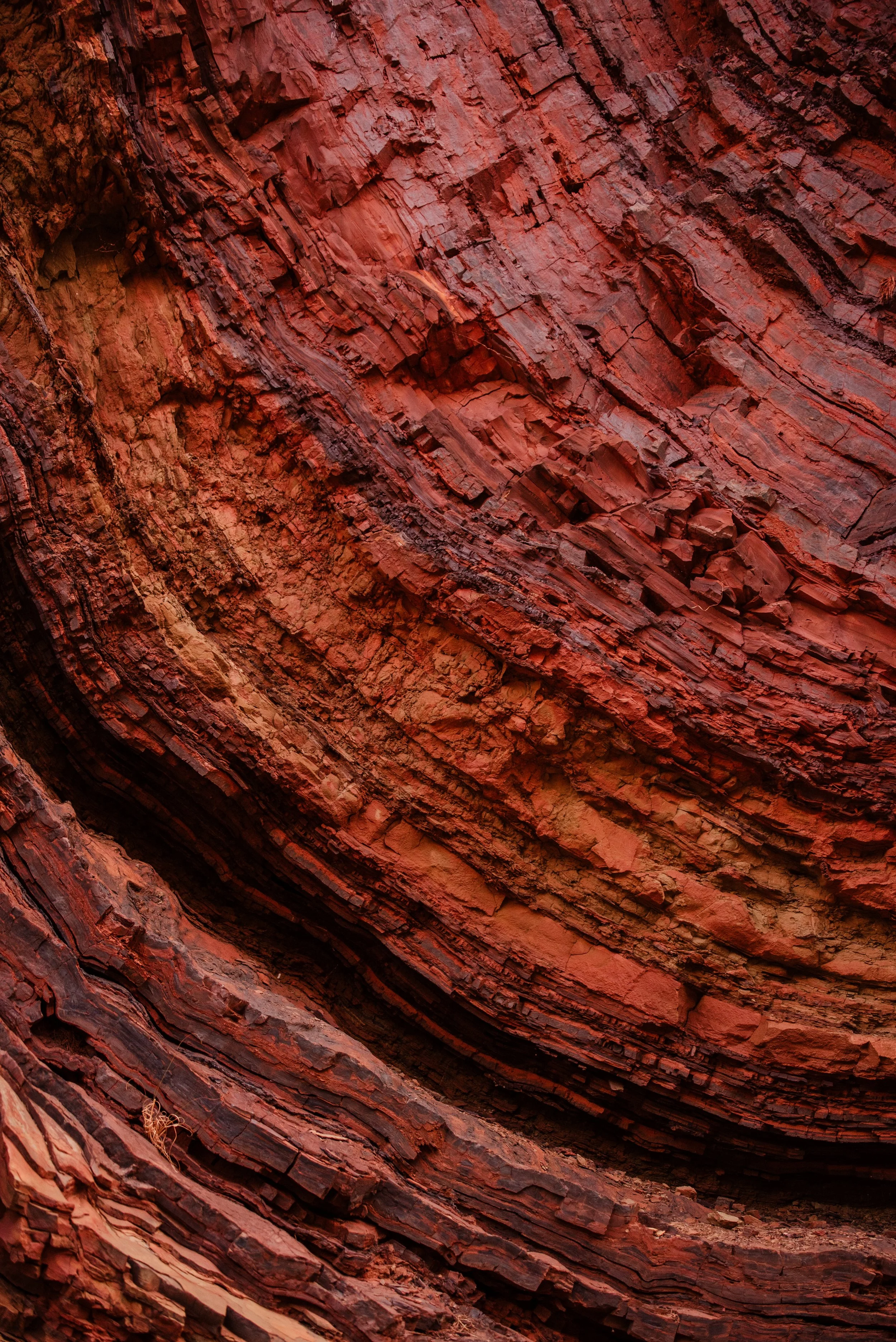 pilbara-web-res-portfolio-181.jpg