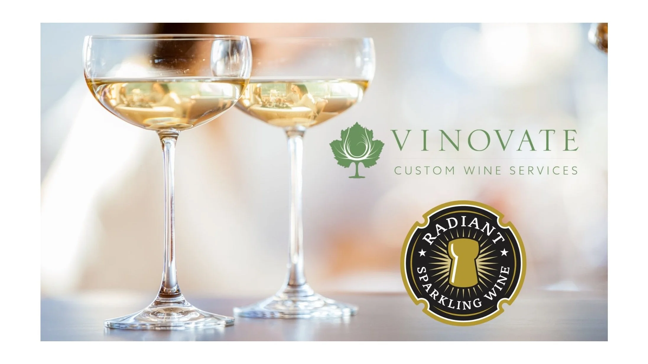 Vinovate_Radiant_SipWeb.jpg