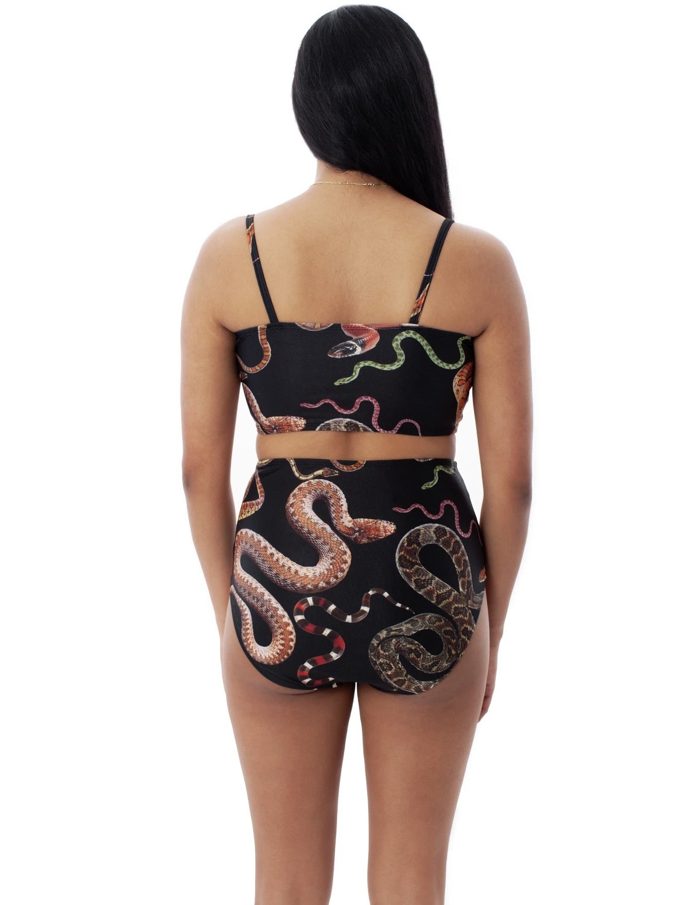Minnow Anaconda Snakes Top.jpeg