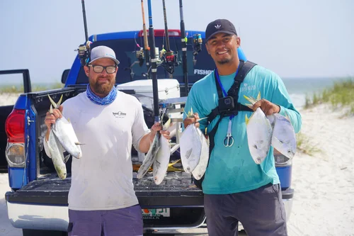 Land-based shark fishing catch on the Gulf Coast near Pensacola