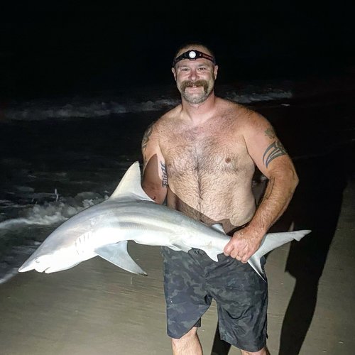 Pompano caught surf fishing in Pensacola, FL