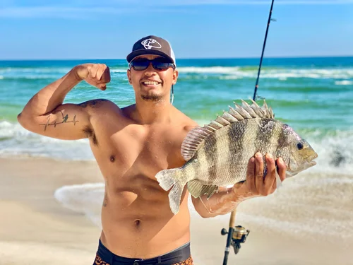 Sunset shark catch on a Pensacola beach charter
