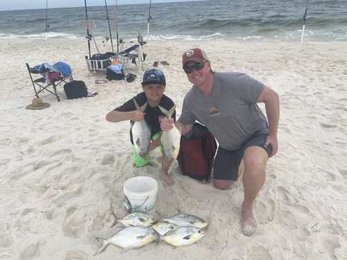 Large shark caught from the beach in Pensacola, FL
