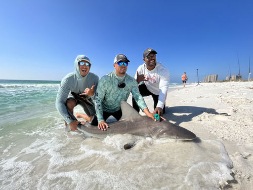 Land-based charter fishing crew on a Pensacola beach