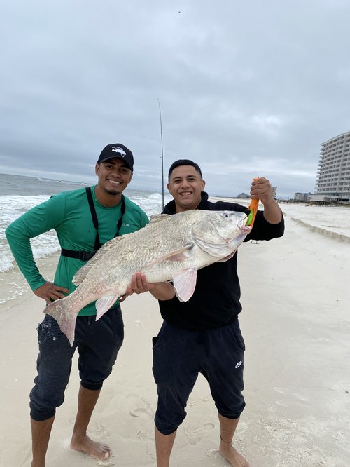 Anglers with catches from a Pensacola beach charter