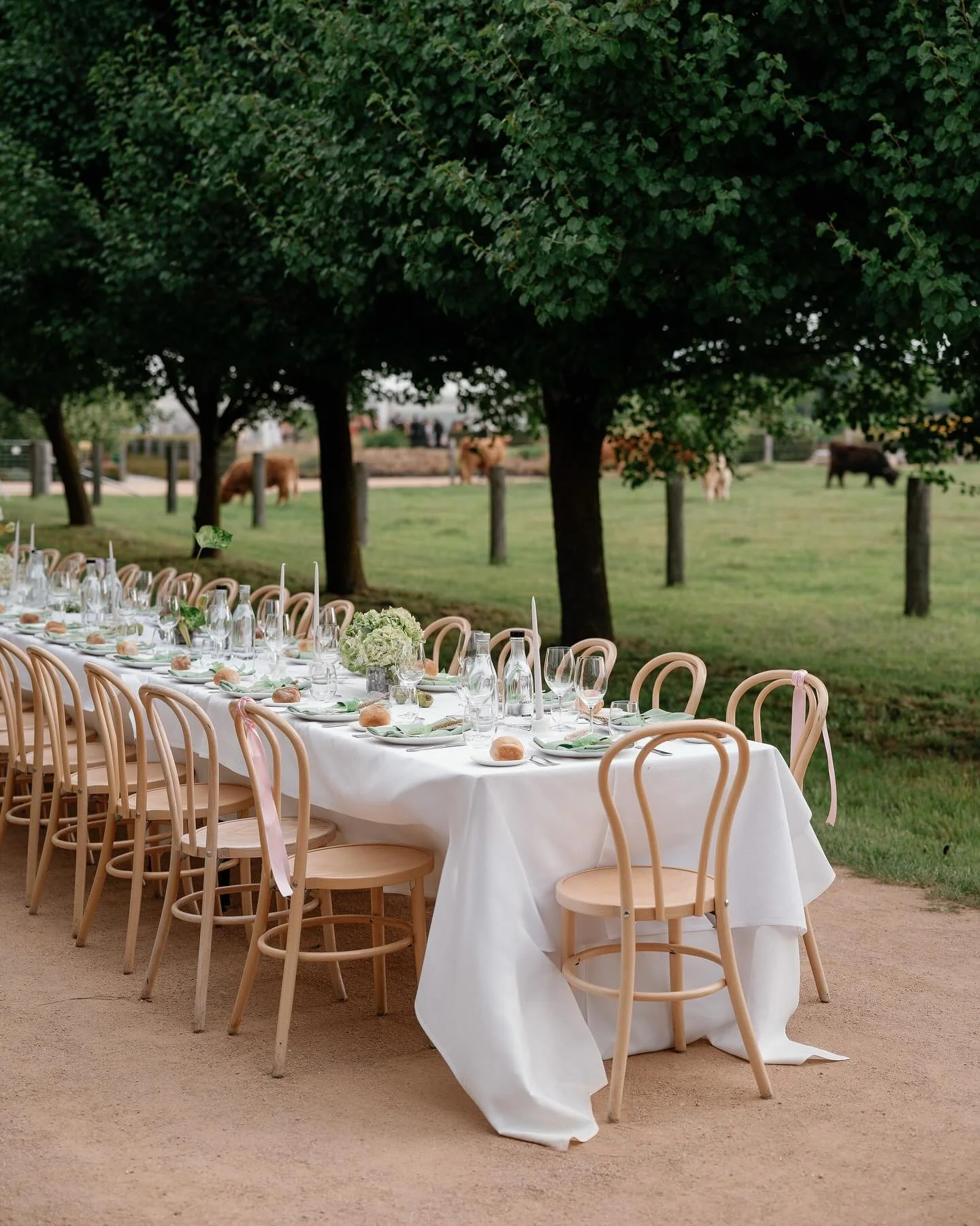 Angus and Lily at @monafarm_ on digital and 35mm. 

@themakehaus_ 
@rhondahemmingwaycouture 
@jo_my_god 
@simonekascatering