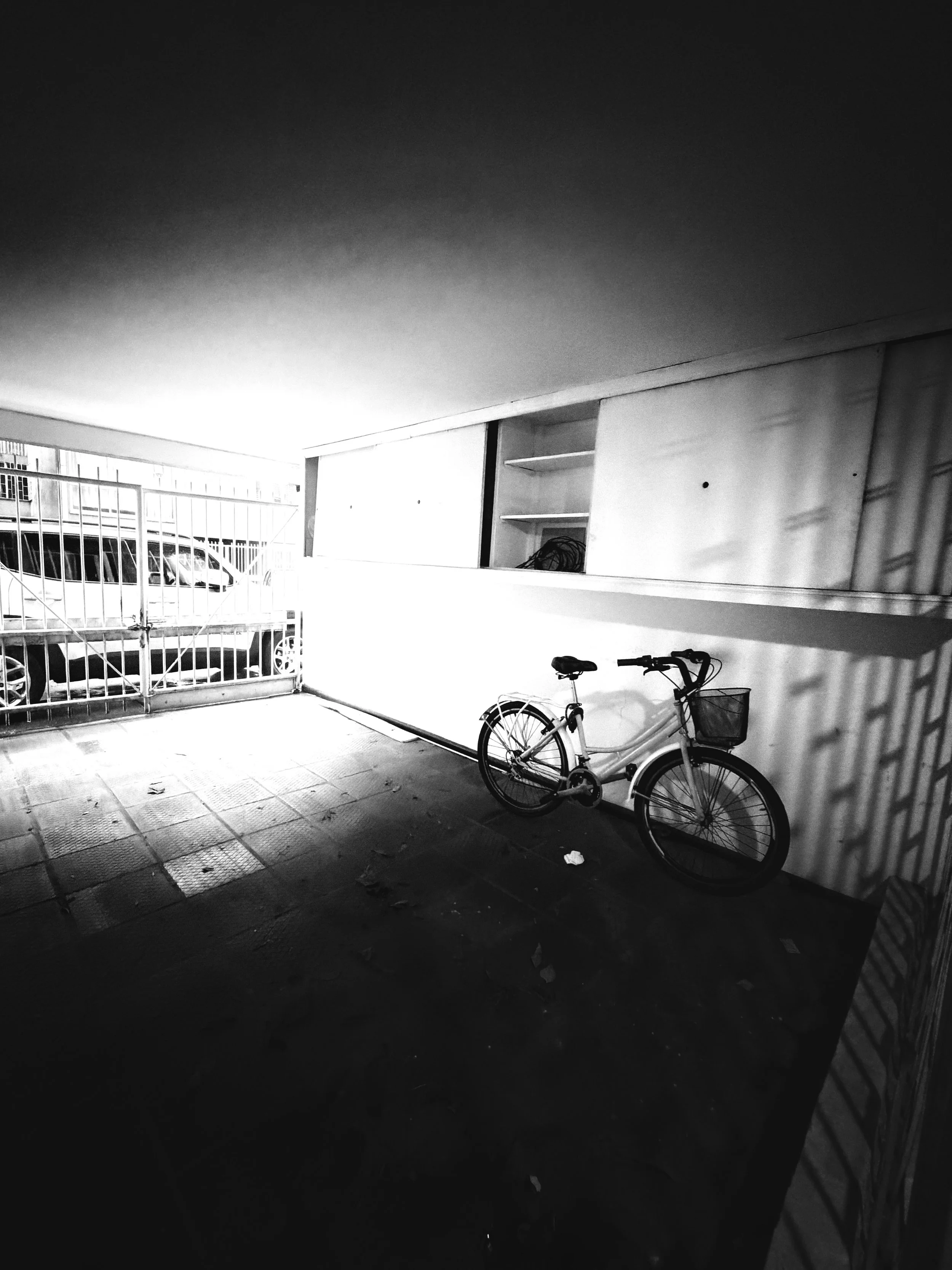 IMG_1084.jpeg