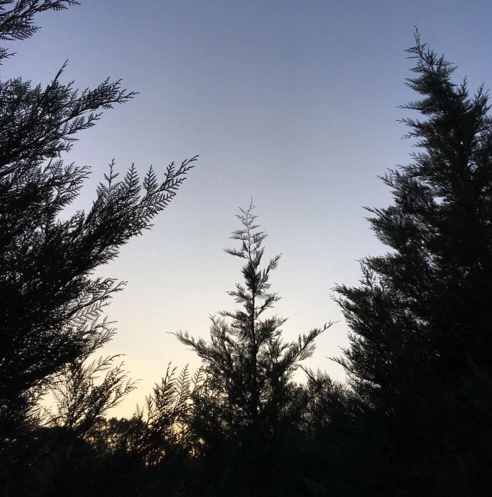 Strength to the weary