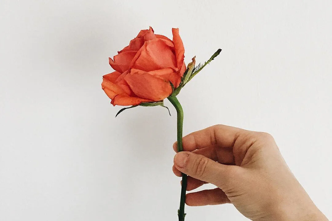 My Savior the good Shepherd is