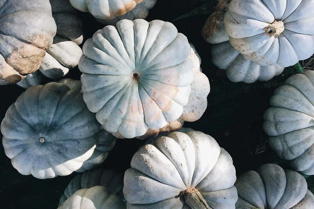 Killing a plant doesn't happen overnight