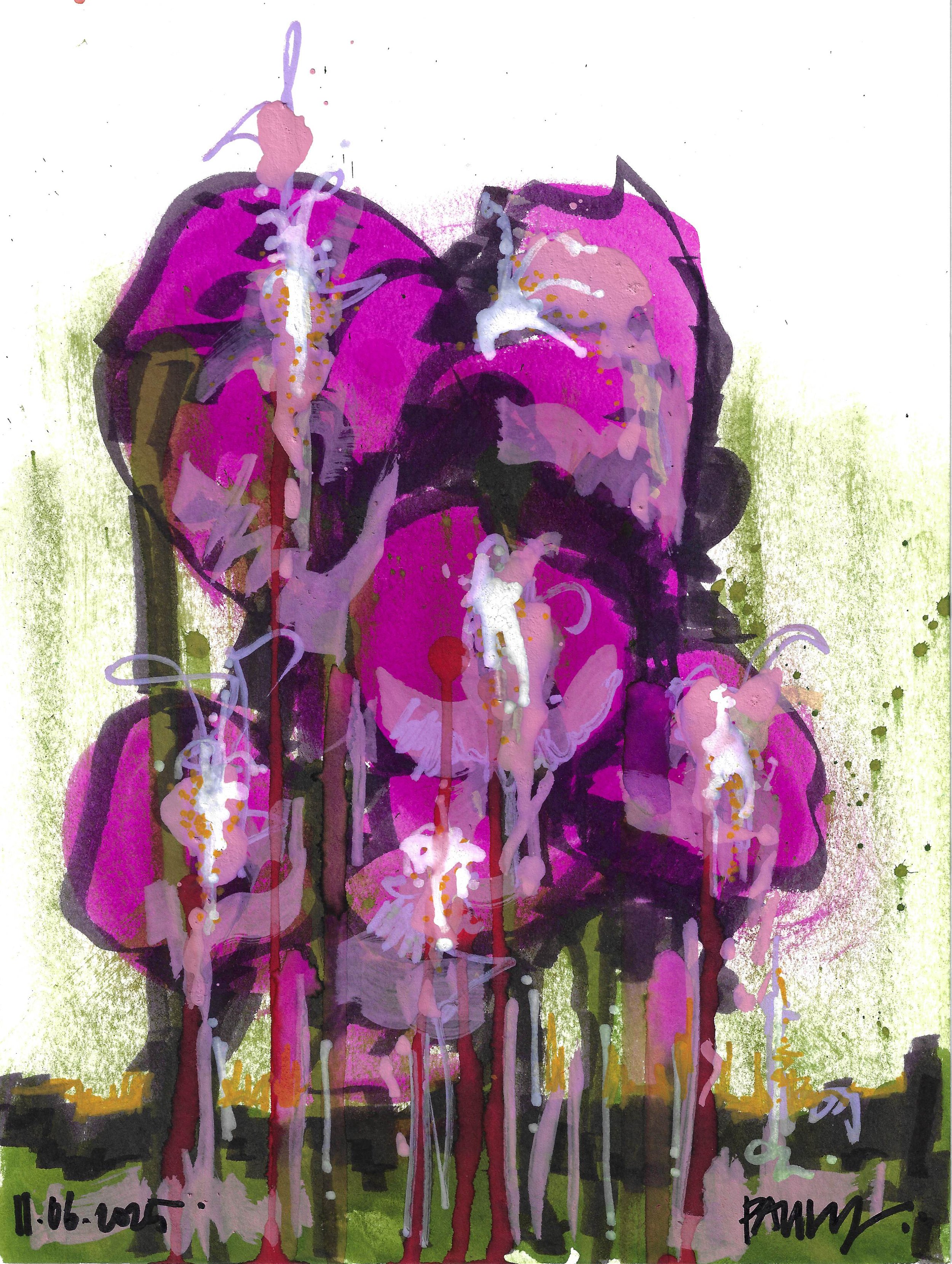 Orchids.jpg
