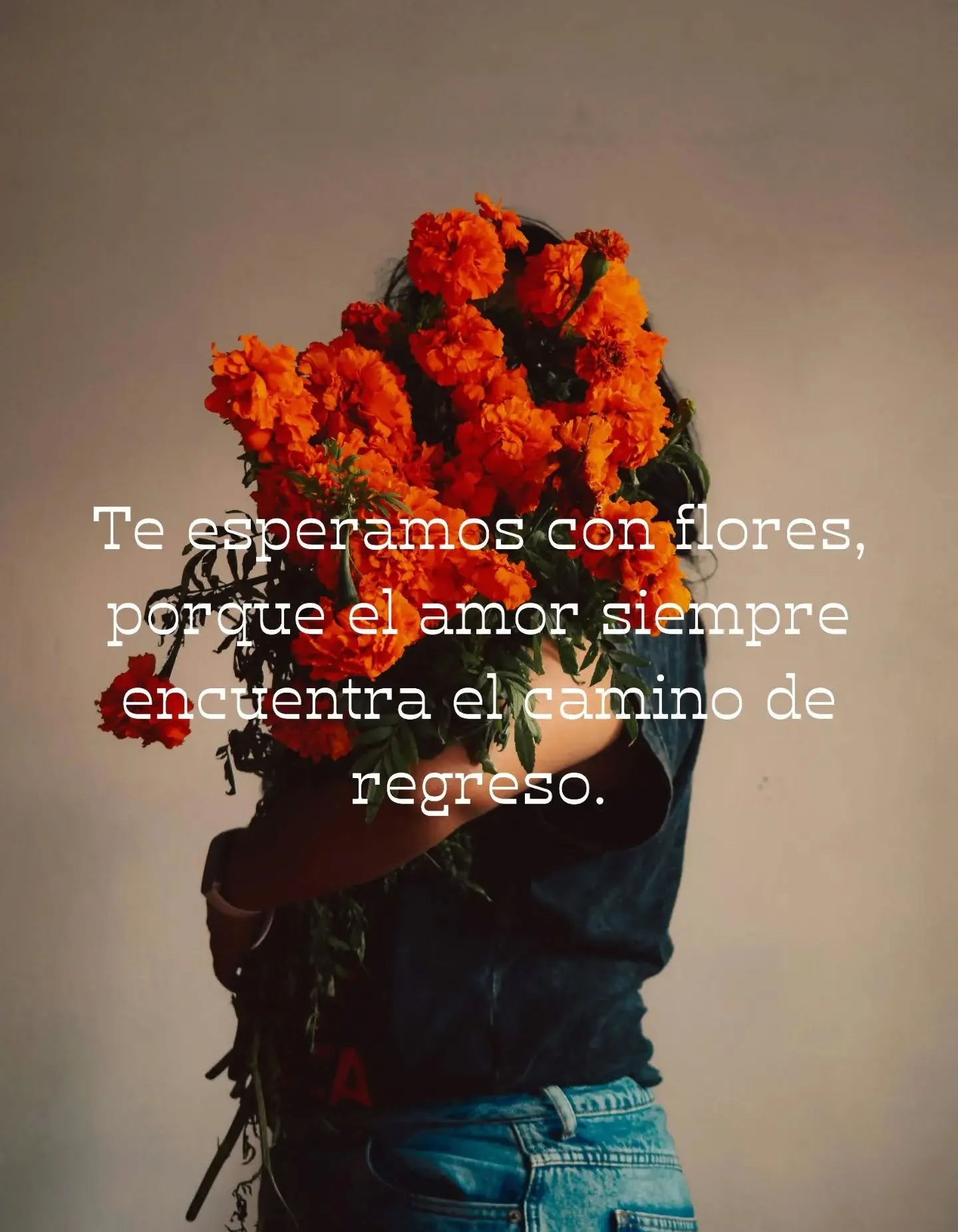 🏵️🦋 Ya se acerca el d&iacute;a de visitarnos. 🕯️🤎