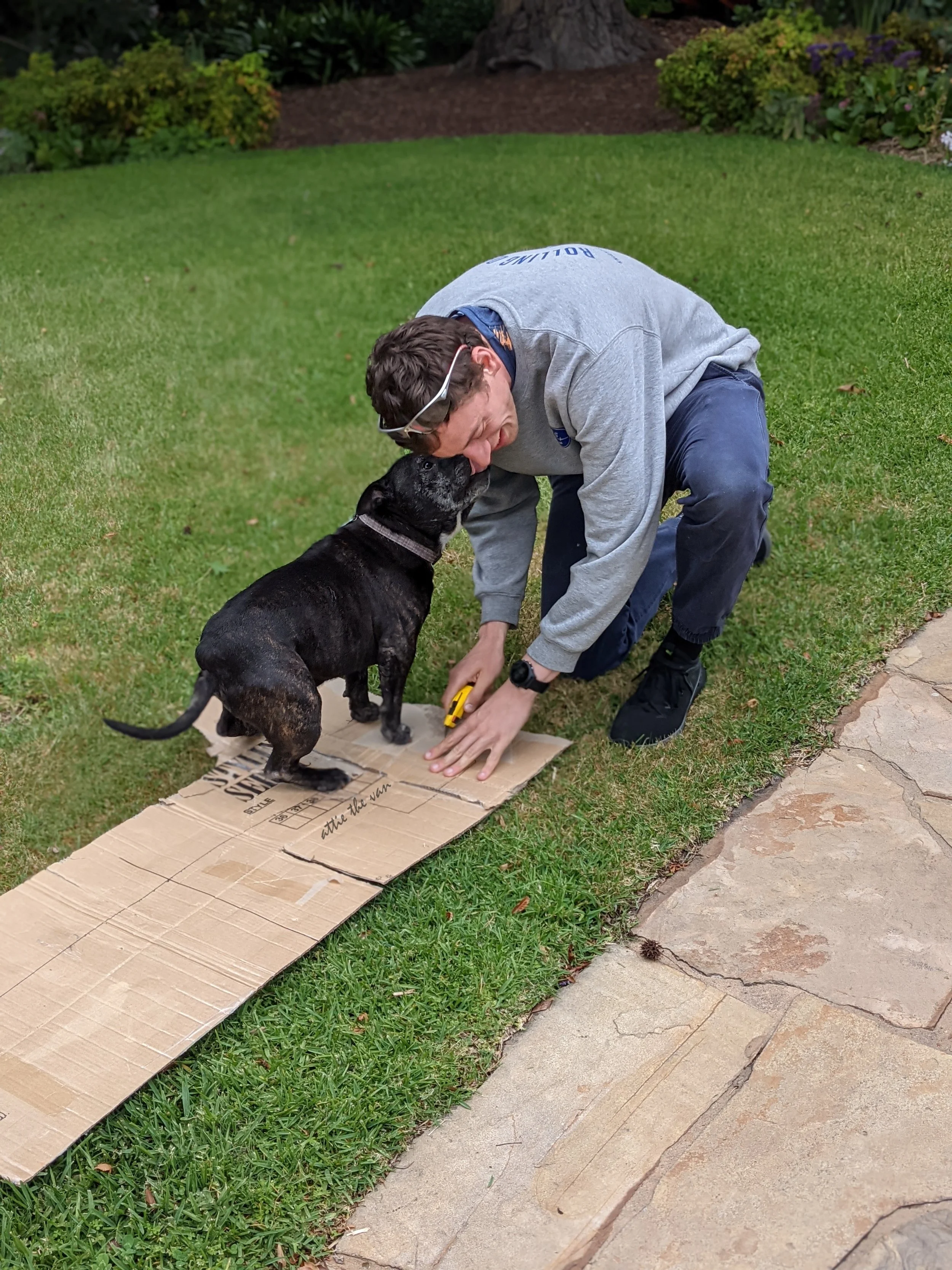 Dog licking face of a van builder as they cut a cardboard template on grass