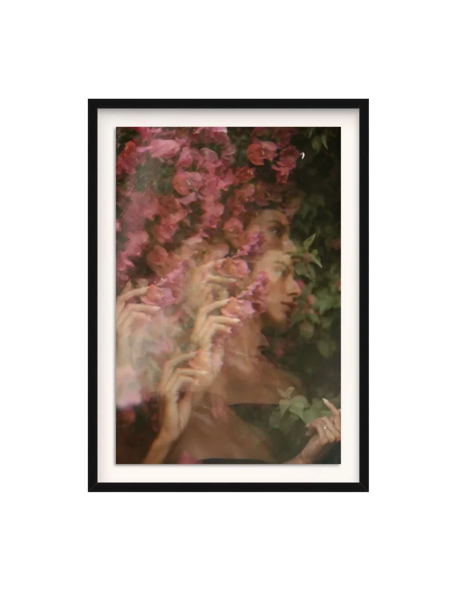 Untitled design (8).jpg