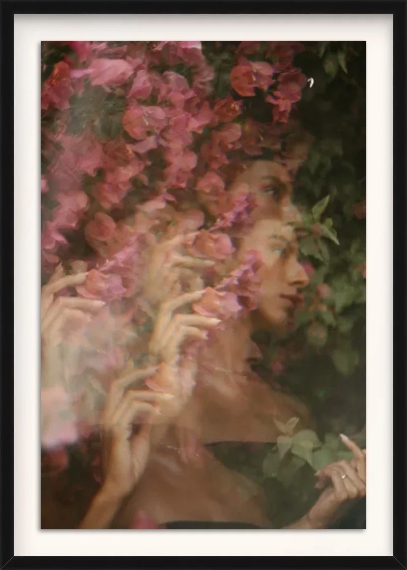 Entwined - By Claire Andrew - 20 x 28