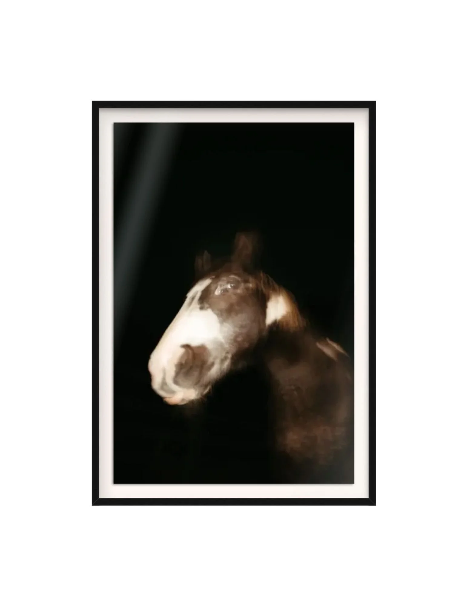 Untitled design (6).jpg