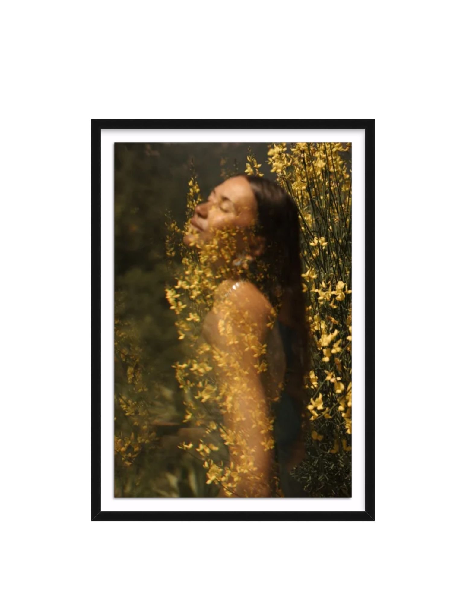 Kissed By The Flowers - Claire Andrew - 26 x 37