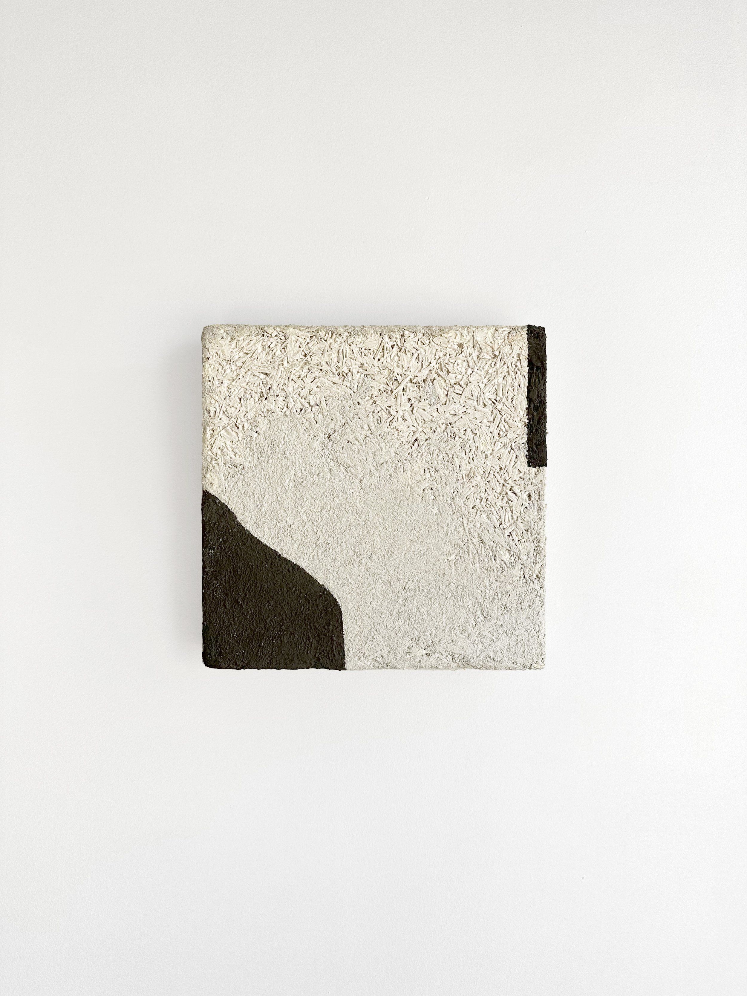 Sarah_Lesher_SoftHome3_hempcrete_12x12Aug2024 copy 3.jpg