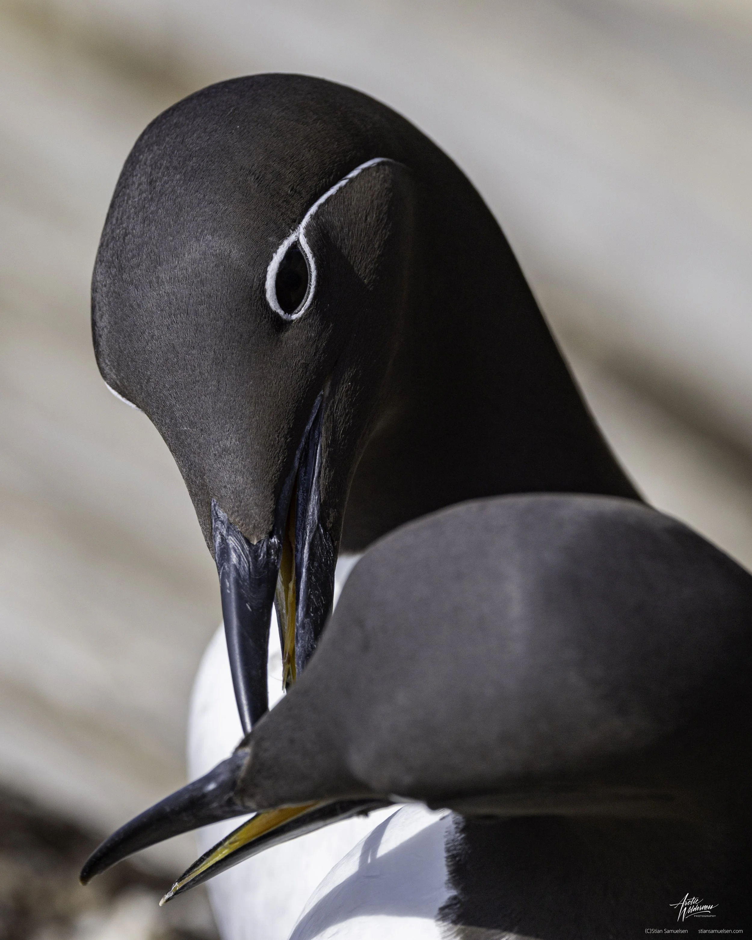 Alker nægging med sign.jpg