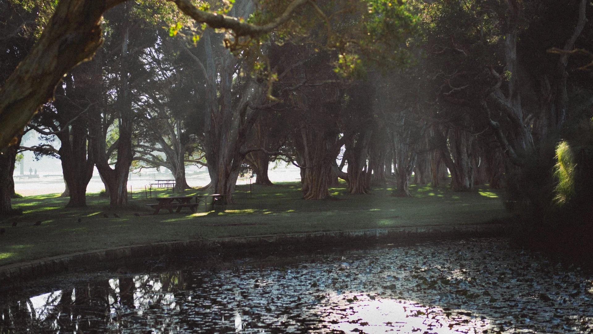2024-04-28 - Cenntenial Park-07.jpg
