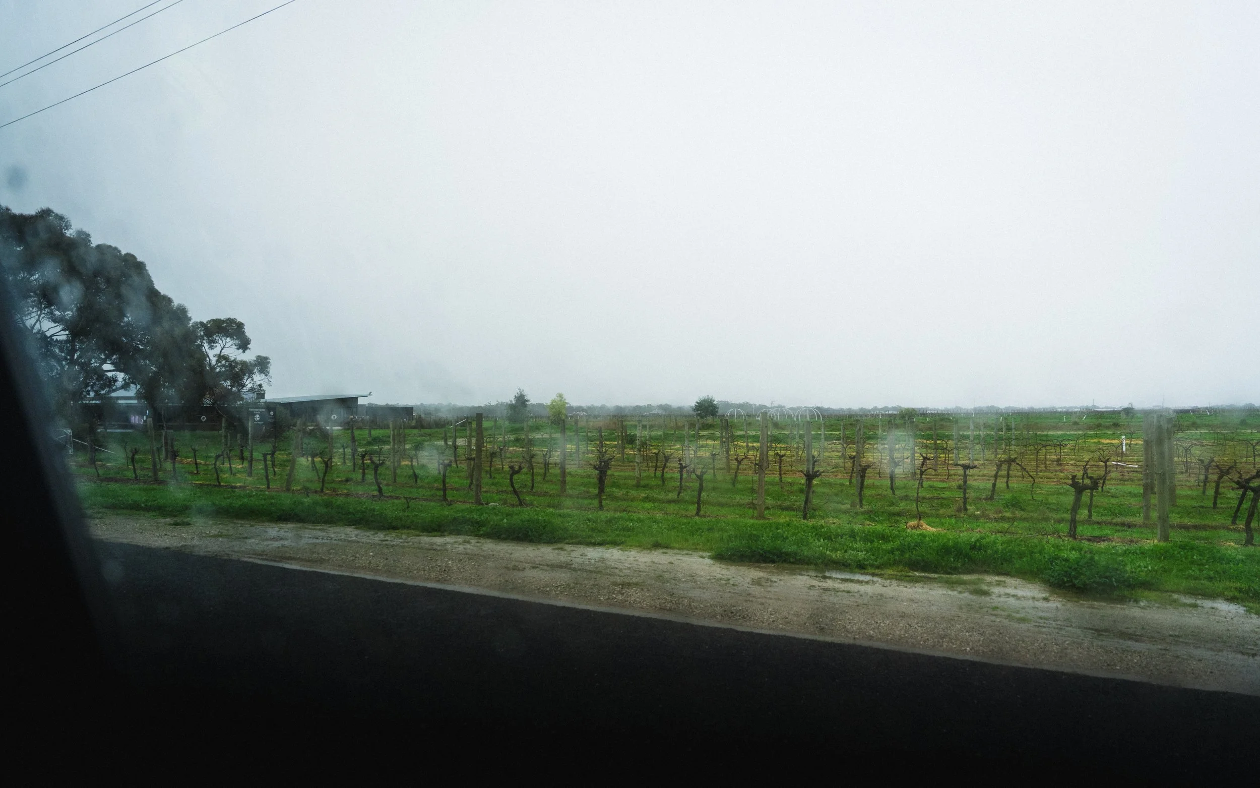Photo by Olga Dekell - Barossa Valley-07561.jpg