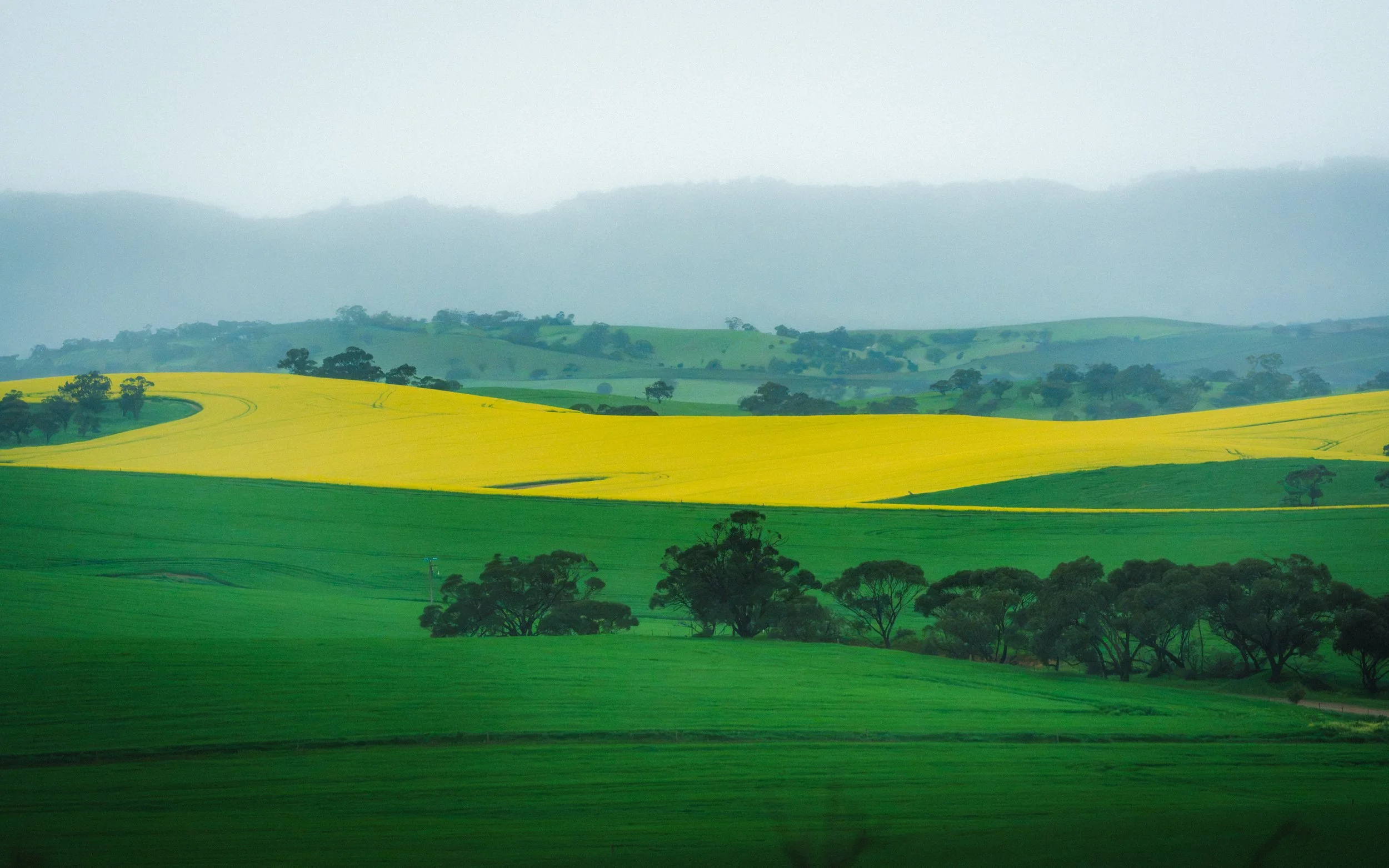 Barossa valley, south australia on the sony a7v &amp; iphone 17 pro