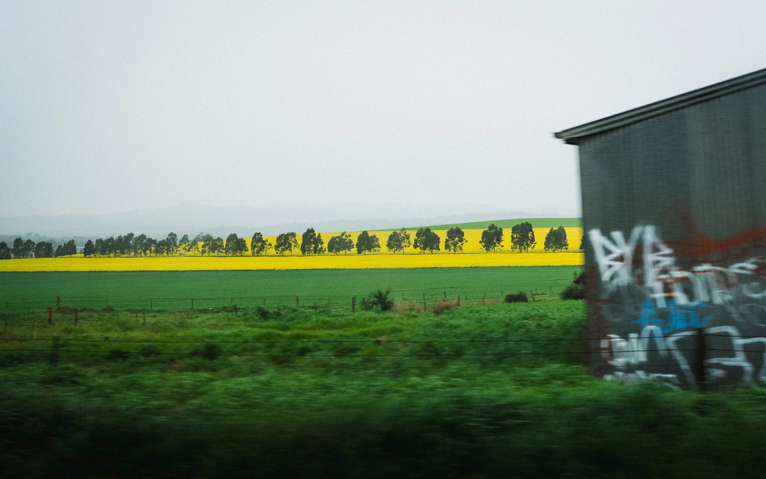 Photo by Olga Dekell - Barossa Valley-07529.jpg