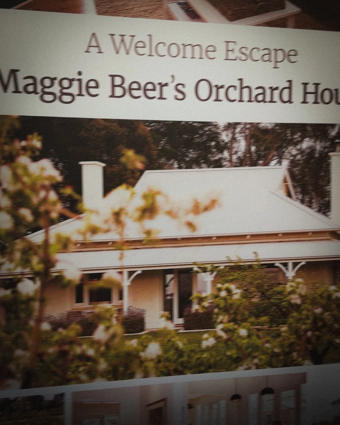 Photo by Olga Dekell - Barossa Valley-2085.jpg