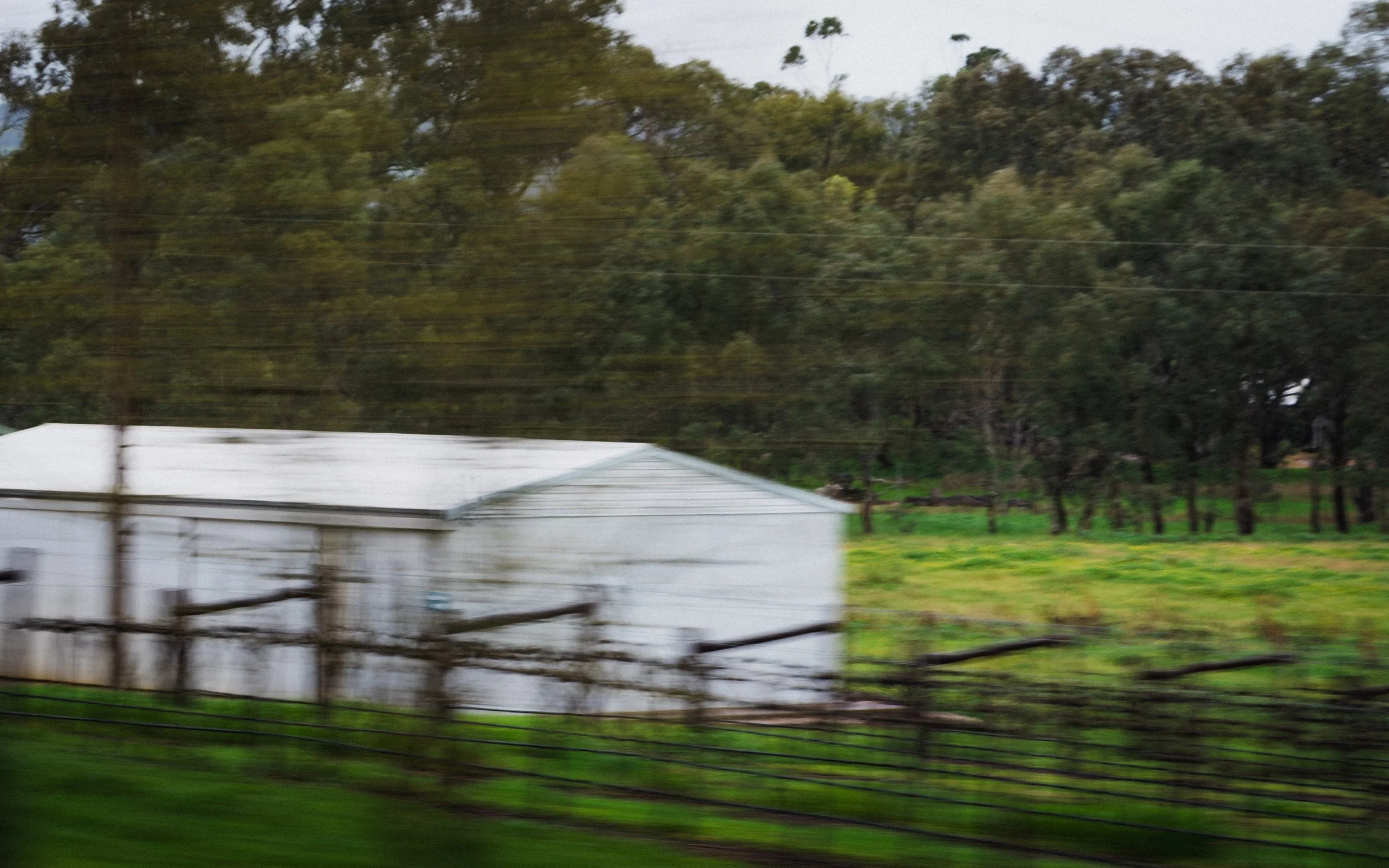 Photo by Olga Dekell - Barossa Valley-07625.jpg
