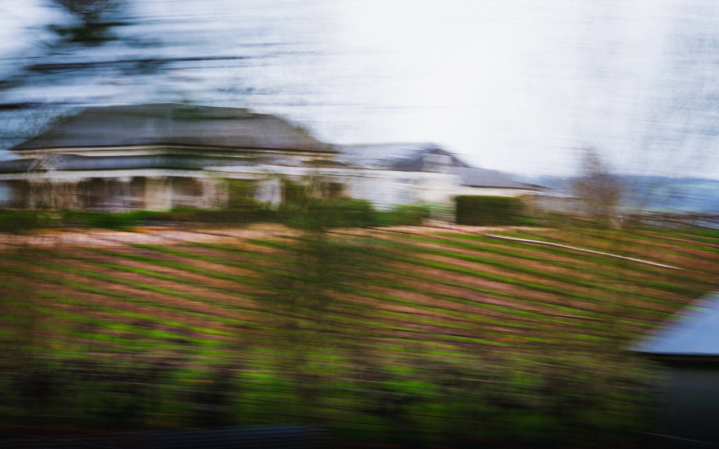 Photo by Olga Dekell - Barossa Valley-07628.jpg