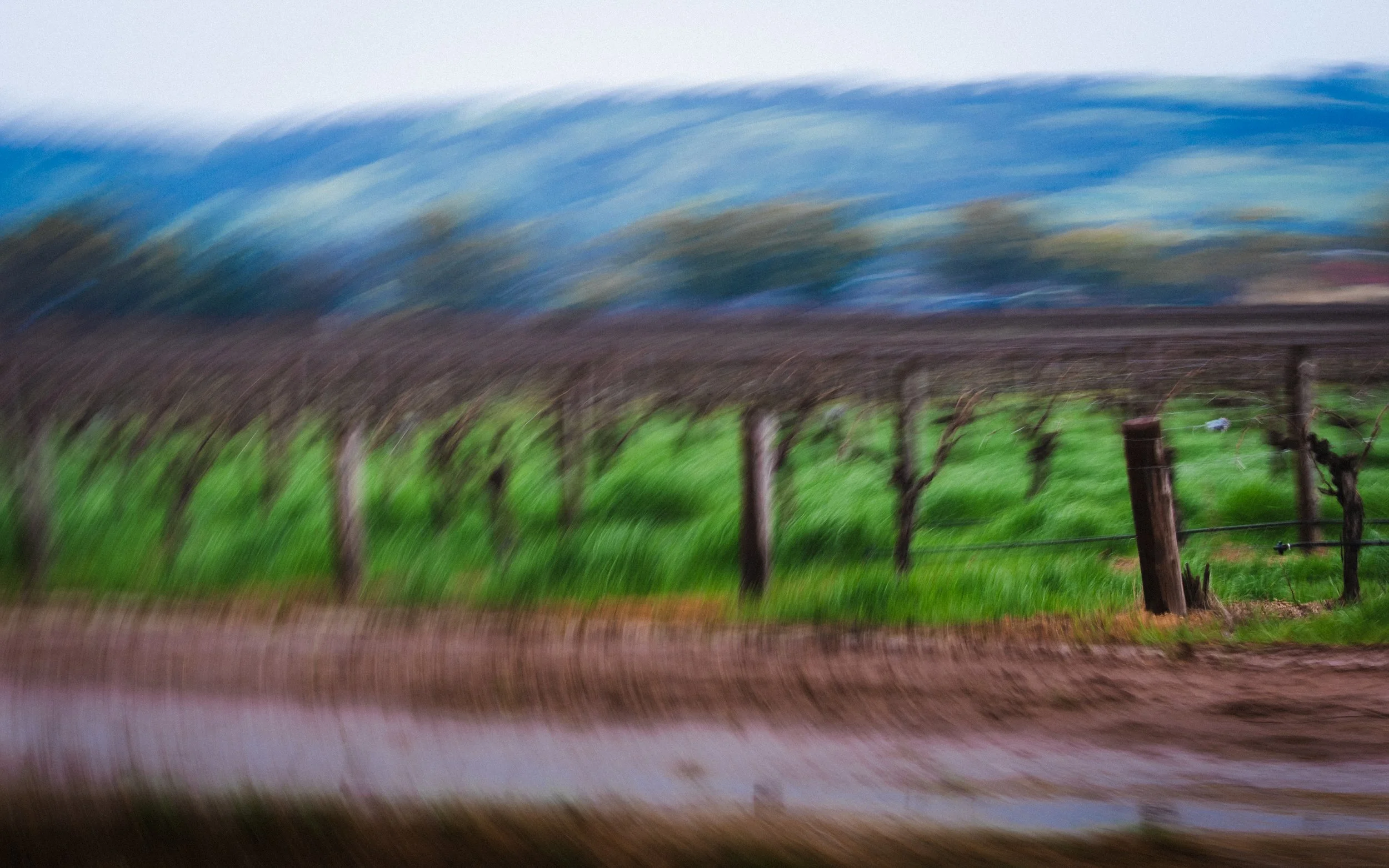 Photo by Olga Dekell - Barossa Valley-07637.jpg